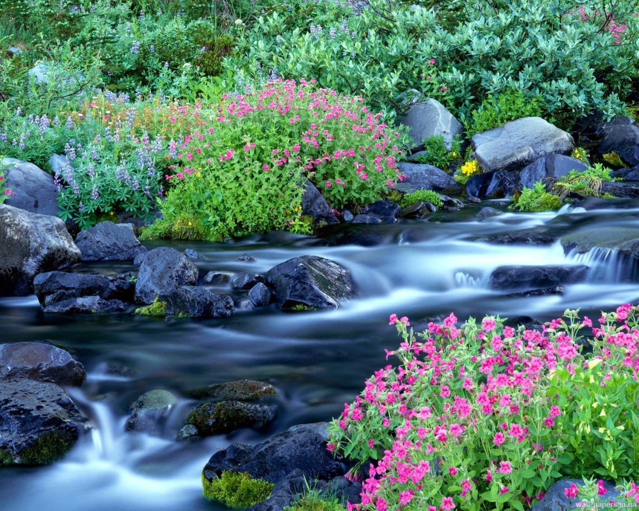 お使いの携帯電話の11096スクリーンセーバーと壁紙川。 植物, 風景, フラワーズの写真を無料でダウンロード
