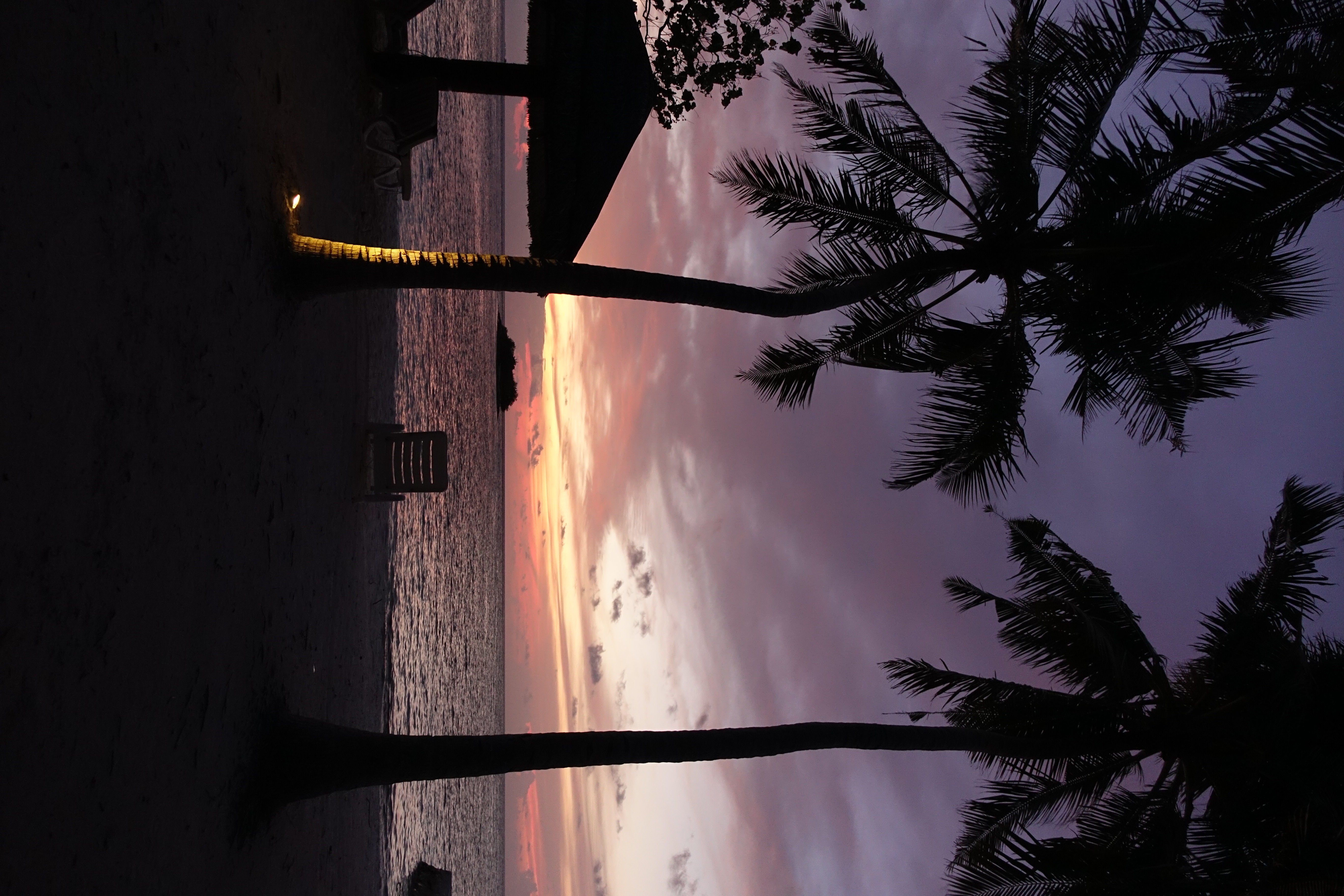 dusk, palms, sea, twilight Chair Cellphone FHD pic