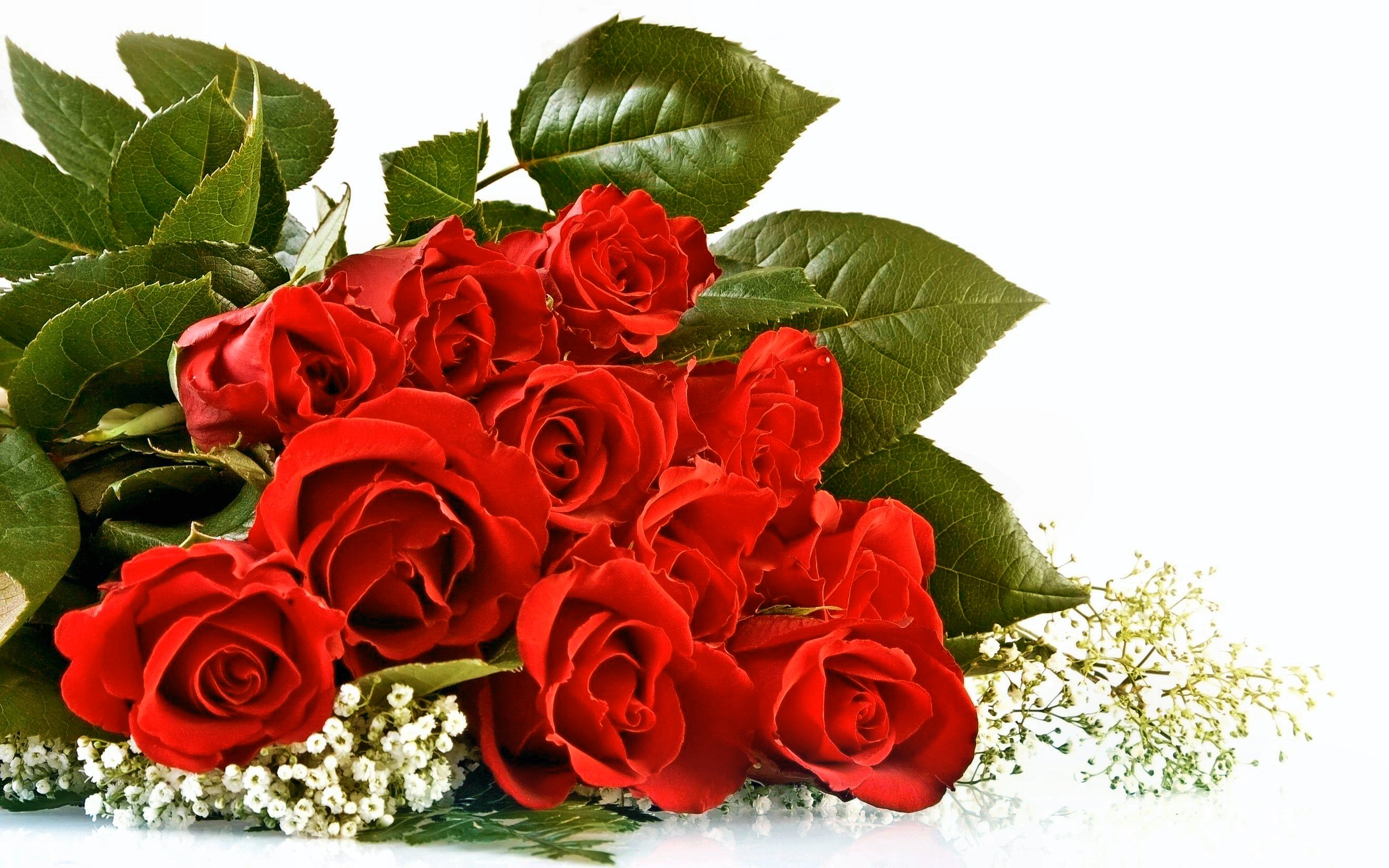 red flower, rose, flowers, flower, bouquet, red rose, valentine's day, earth, leaf HD wallpaper