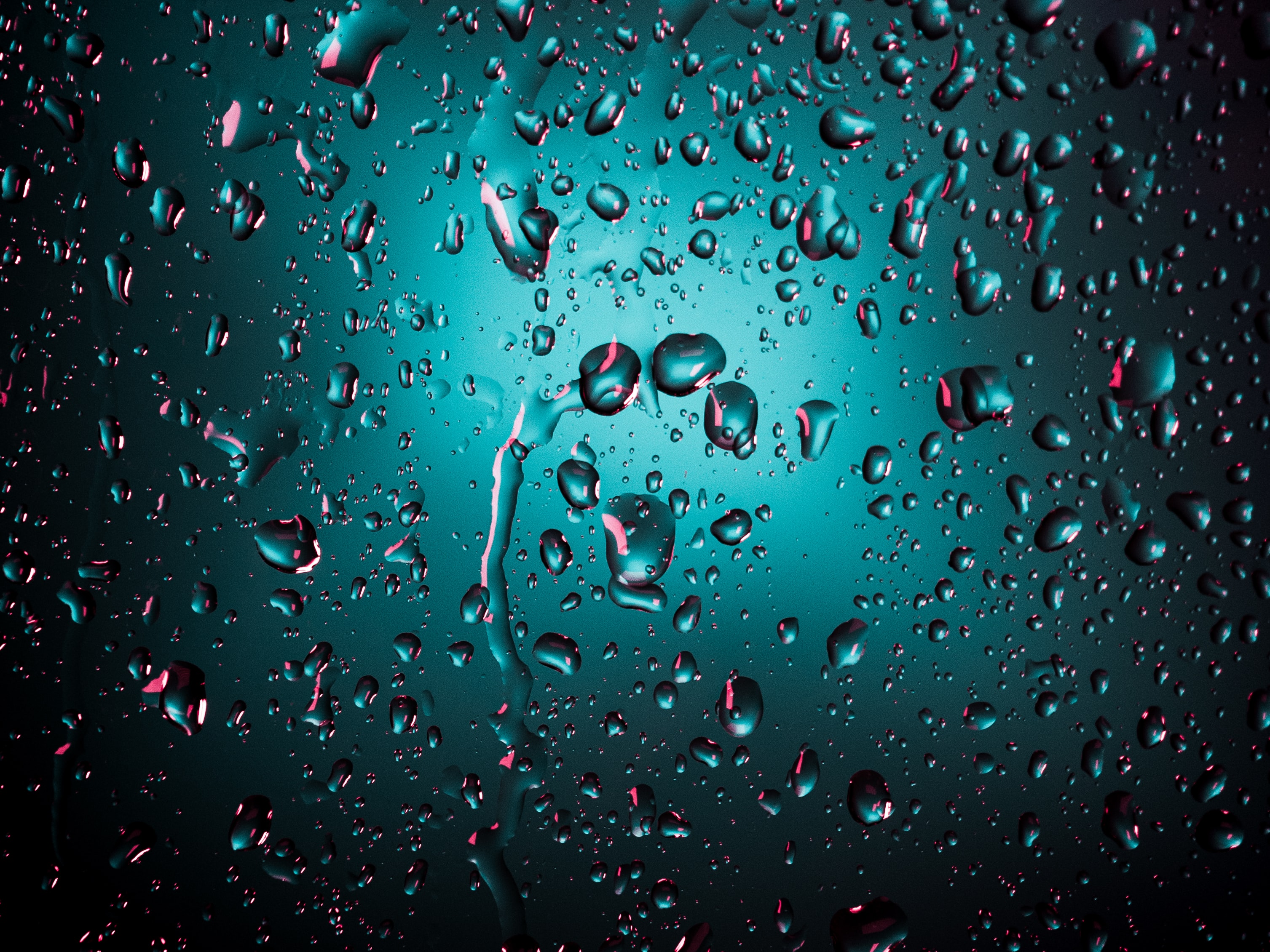 147878 free wallpaper 360x640 for phone, download images surface, macro, water, drops 360x640 for mobile
