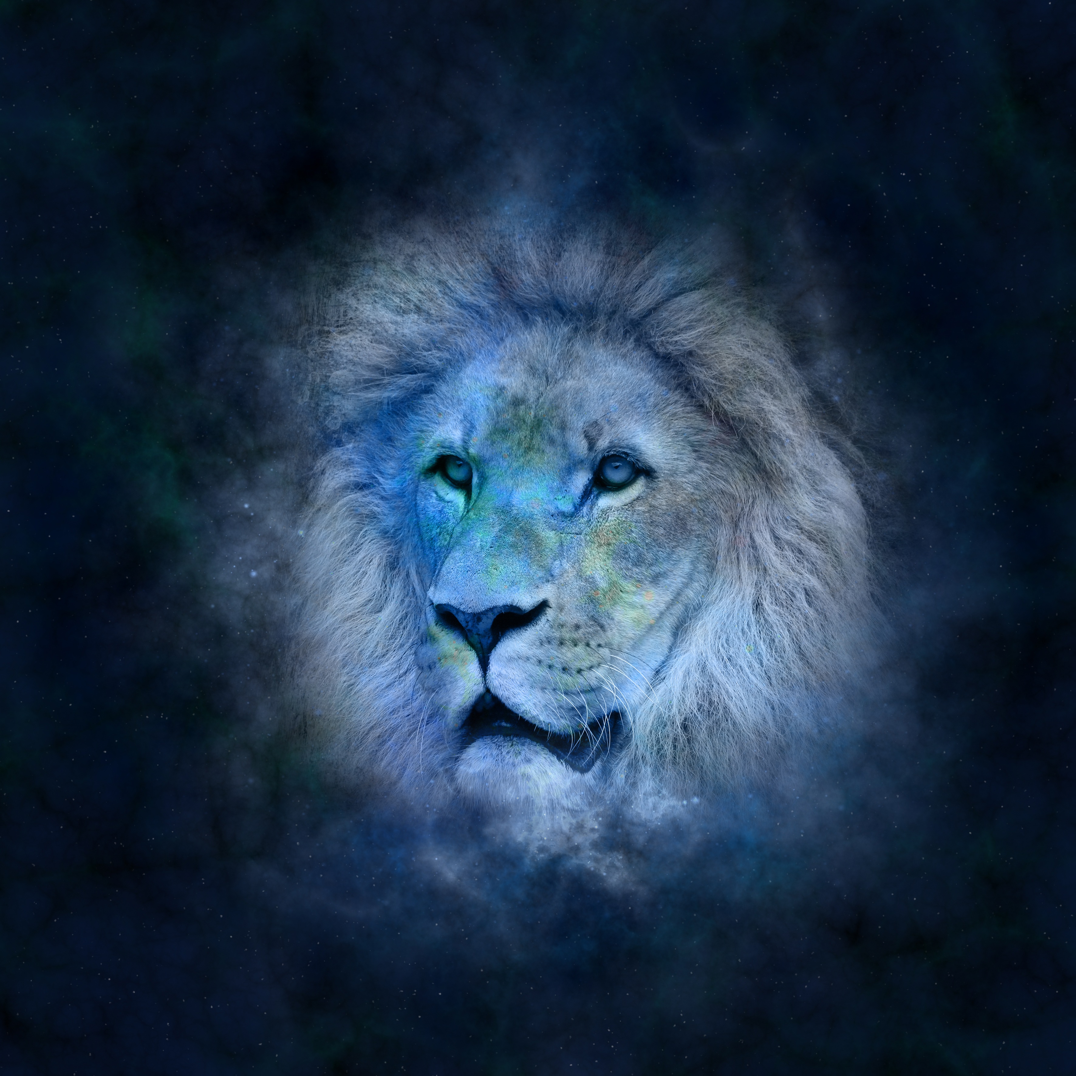 132977 download wallpaper art, muzzle, lion, space, mane, cosmic screensavers and pictures for free