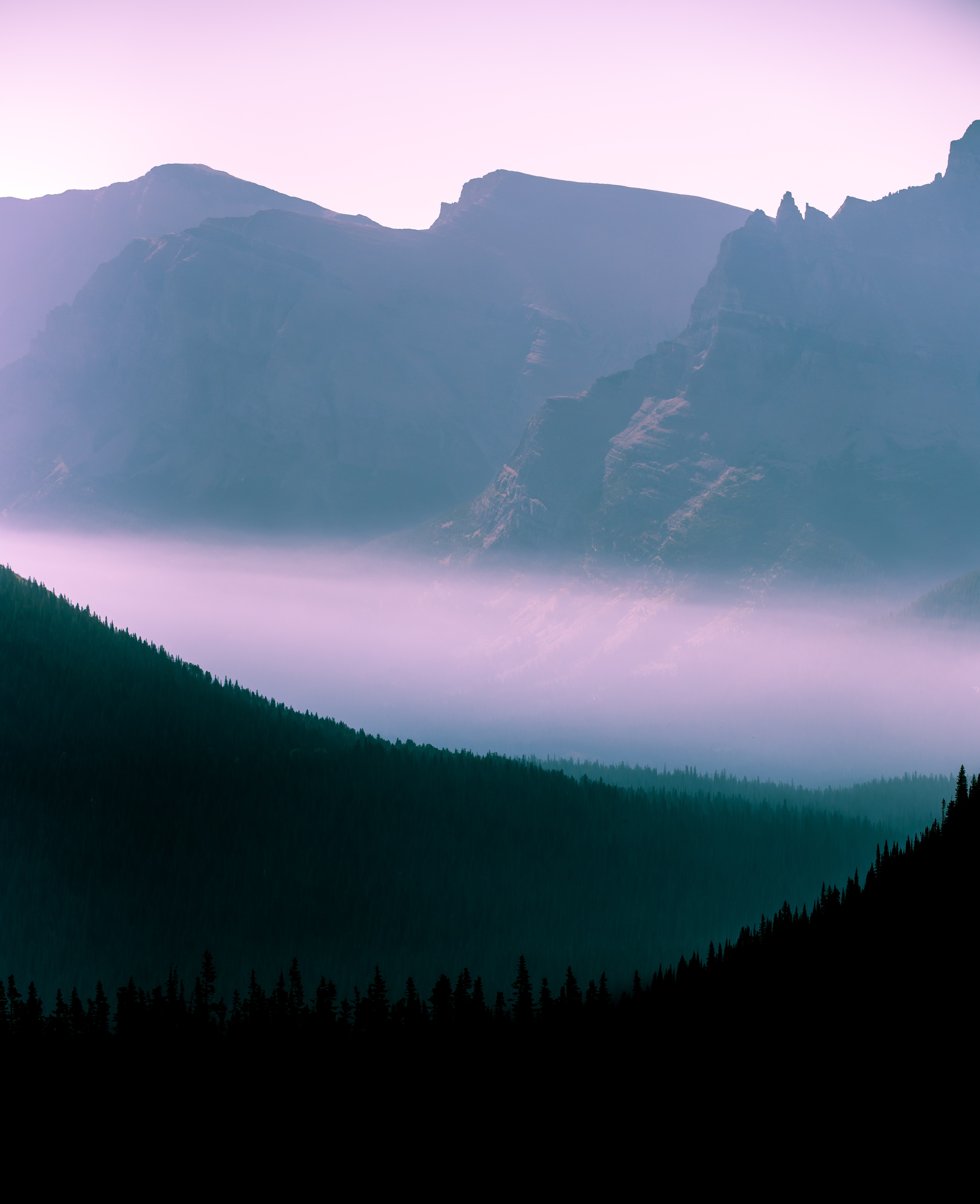 outlines, nature, trees, sky, mountains, forest, fog HD wallpaper