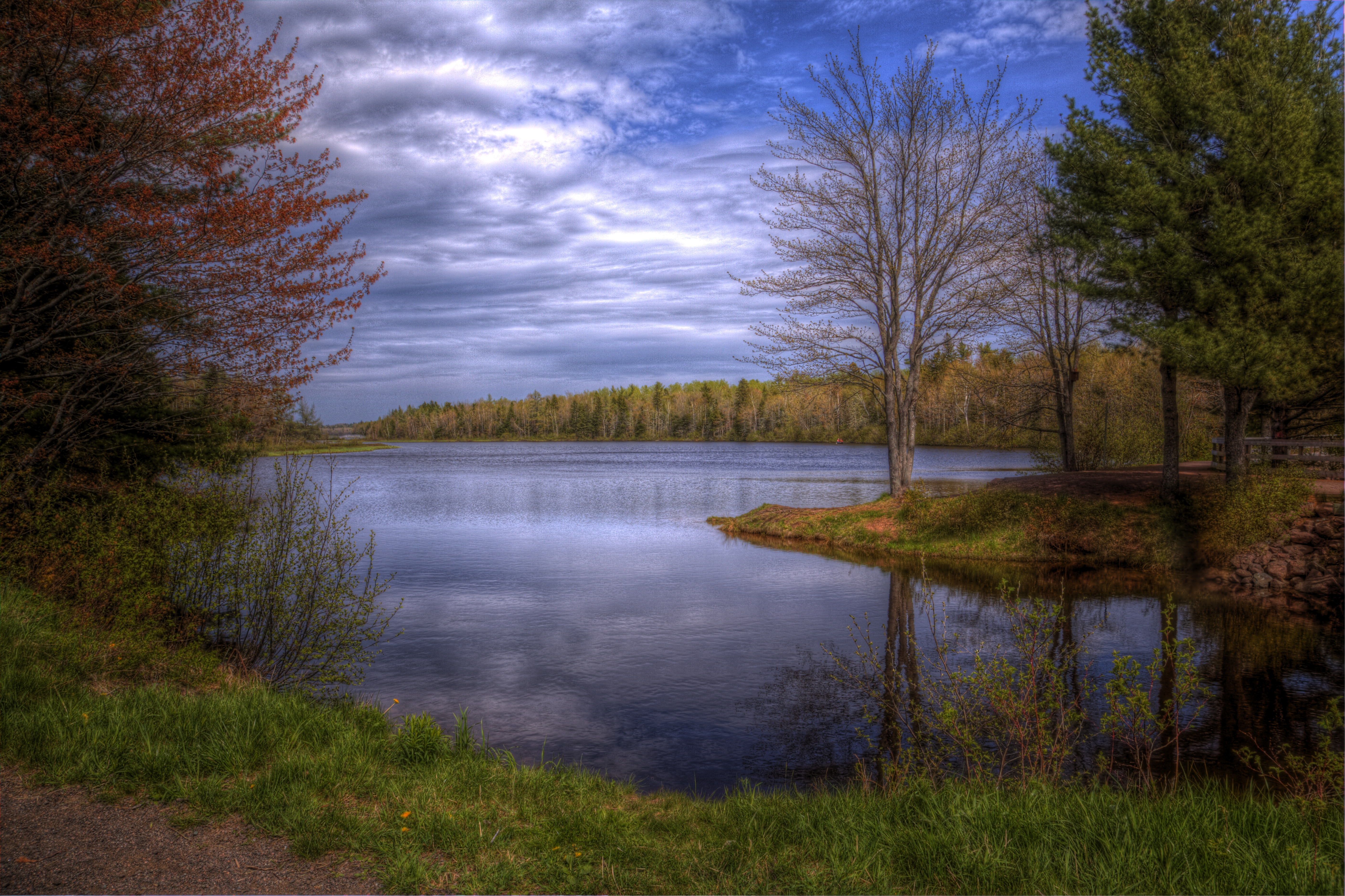 Widescreen image lake, nature, sky, trees