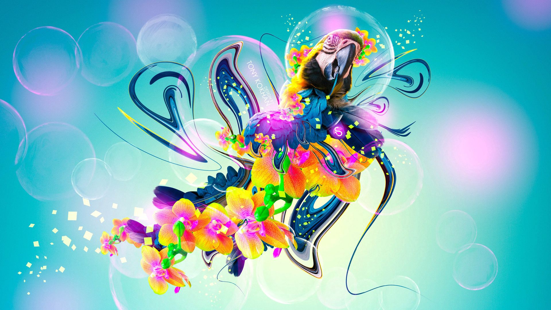 flowers, parrots, patterns, abstract for android