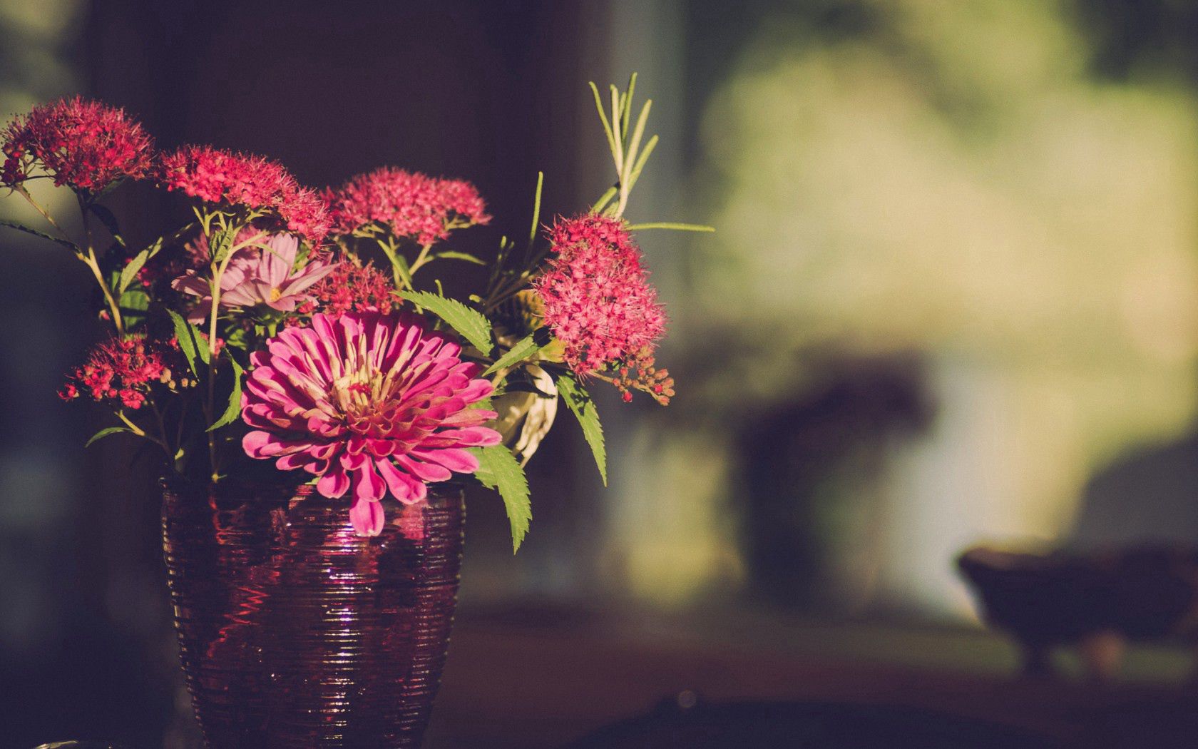 Handy-Wallpaper Blumen, Gerbera, Blütenblätter, Vase kostenlos herunterladen.