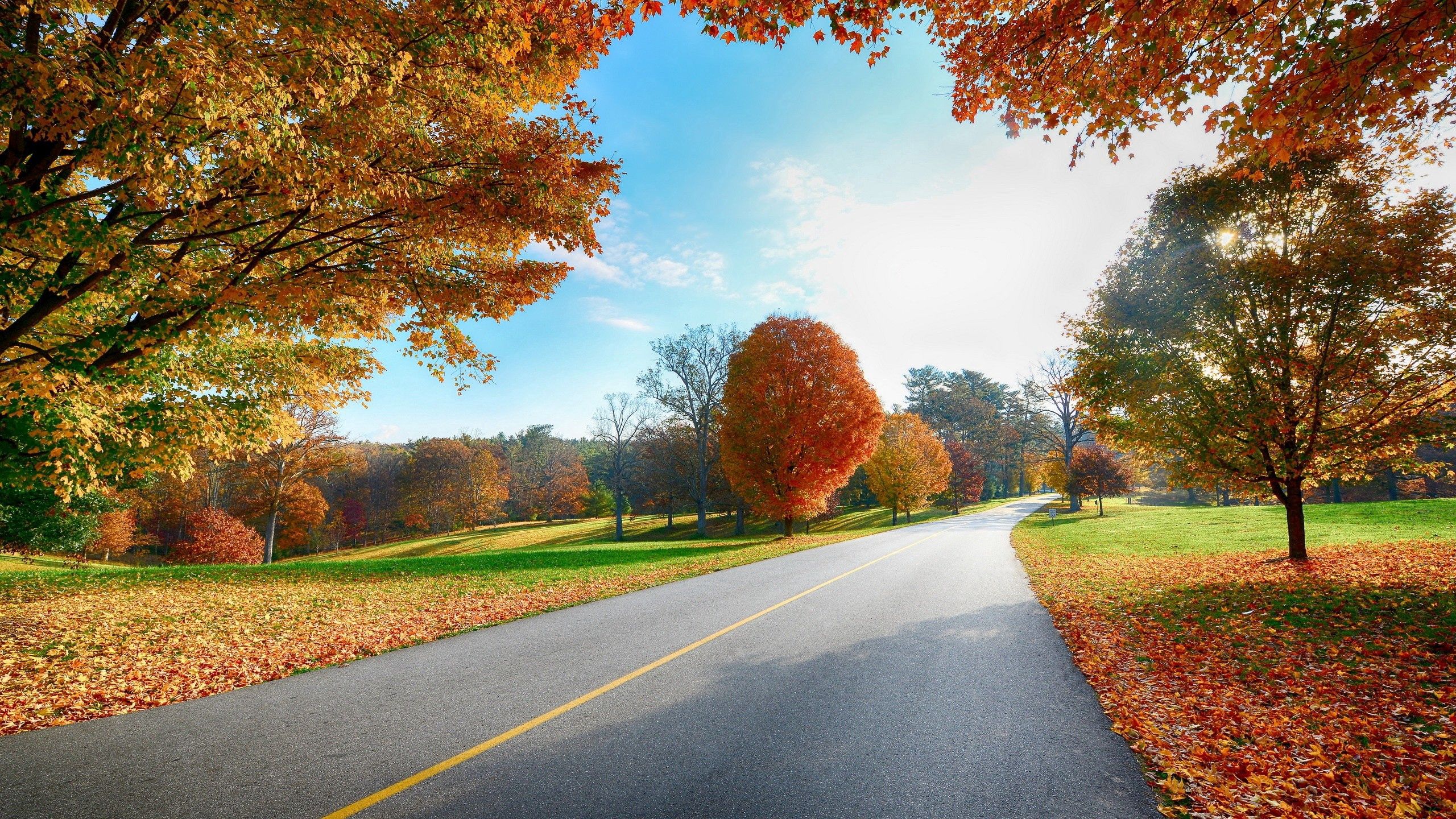 Laden Sie das Herbst, Natur, Bäume, Straße, Markup-Bild kostenlos auf Ihren PC-Desktop herunter