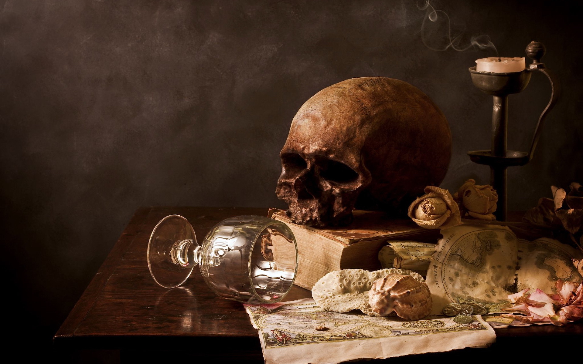 skeletons, death, art photo, objects, still life, orange phone background