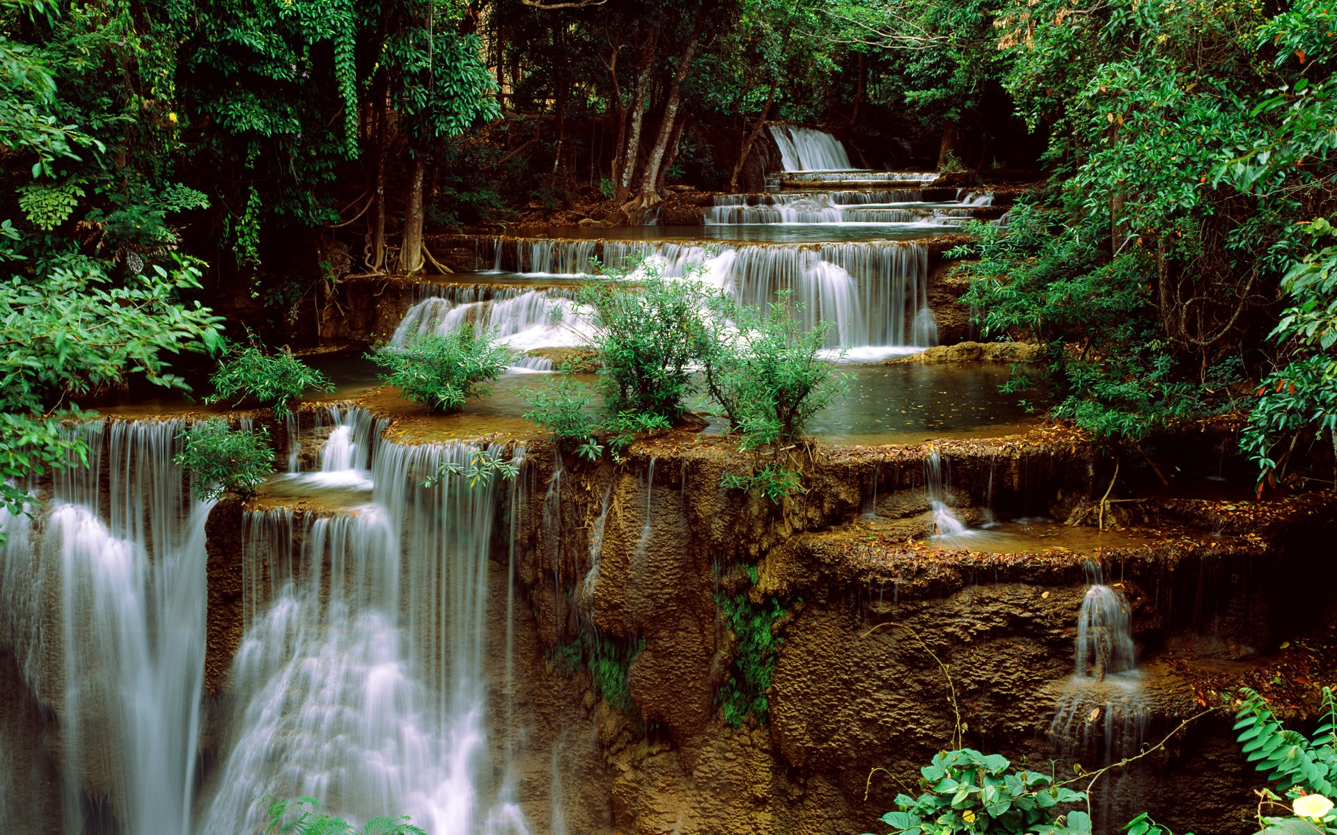 vegetation, earth, waterfall, nature, water, waterfalls download HD wallpaper