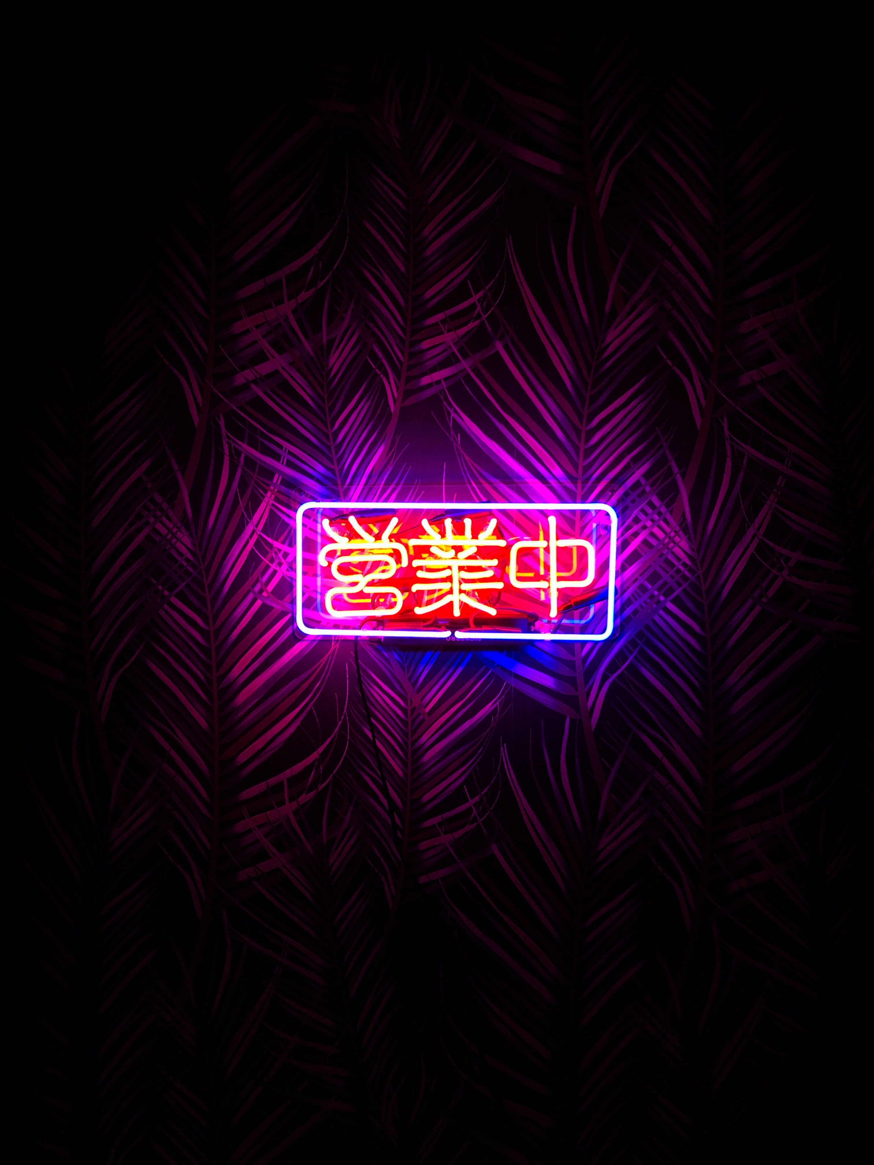 neon, words, inscription, leaves HD Wallpaper for Phone