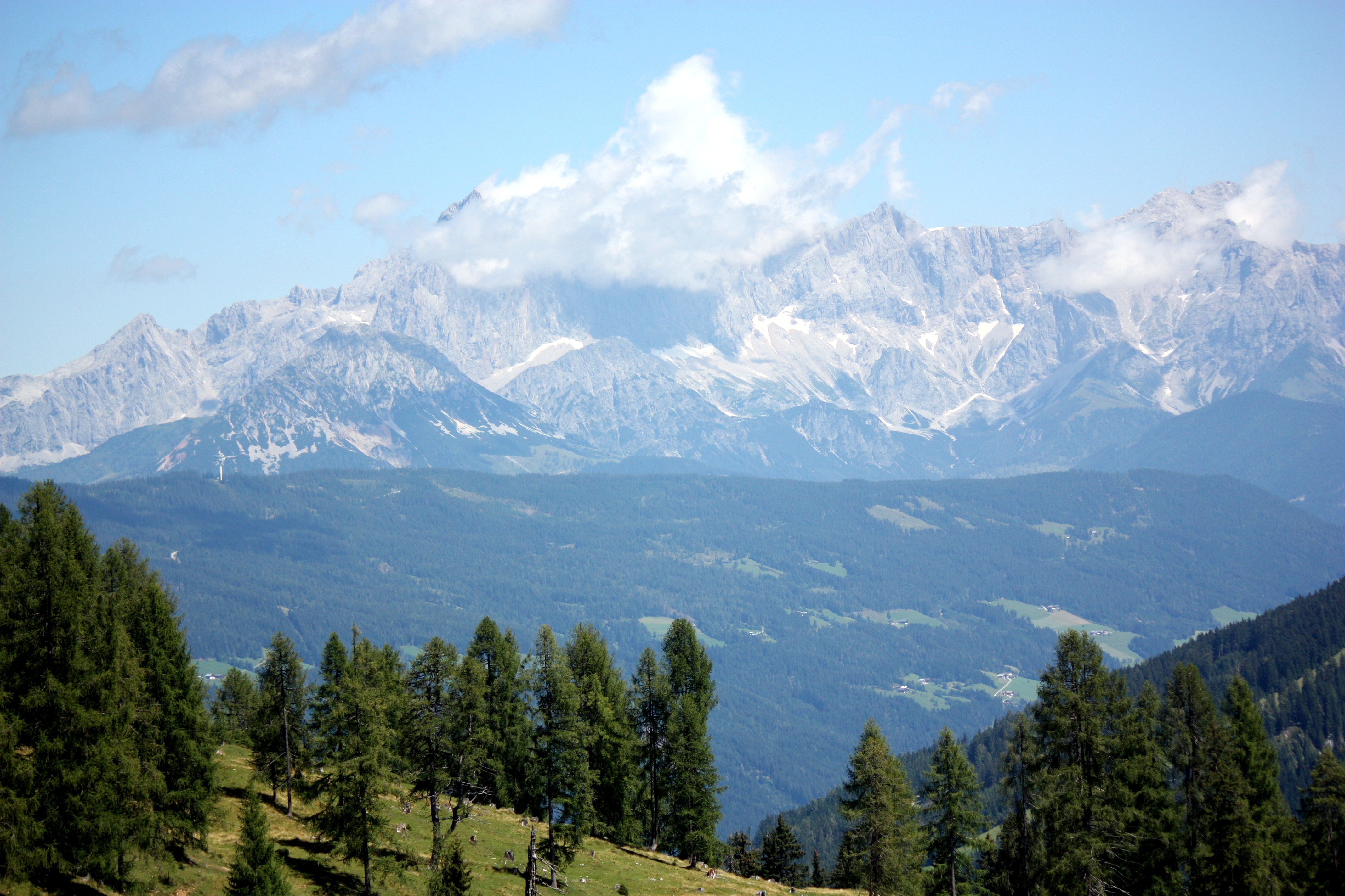 mountains, nature, trees, austria, alps for android