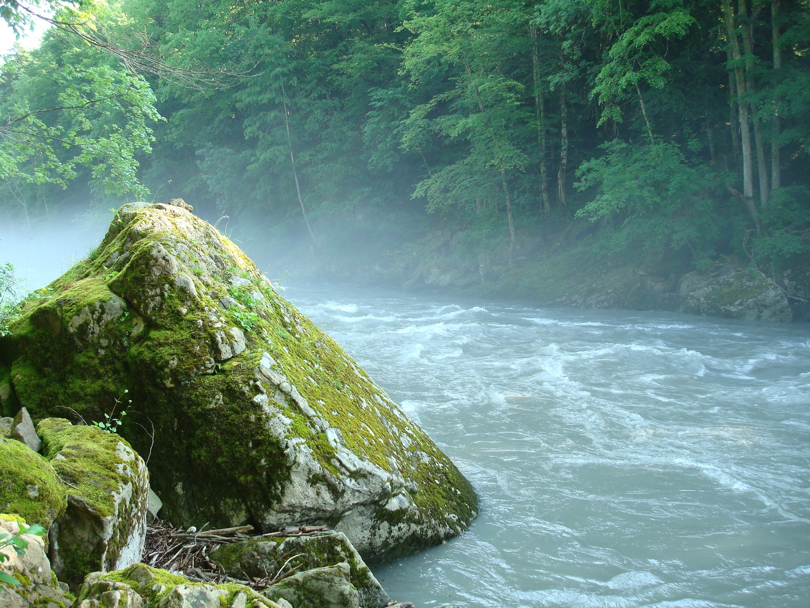 mountain river, nature, rock, stone, moss, adygea