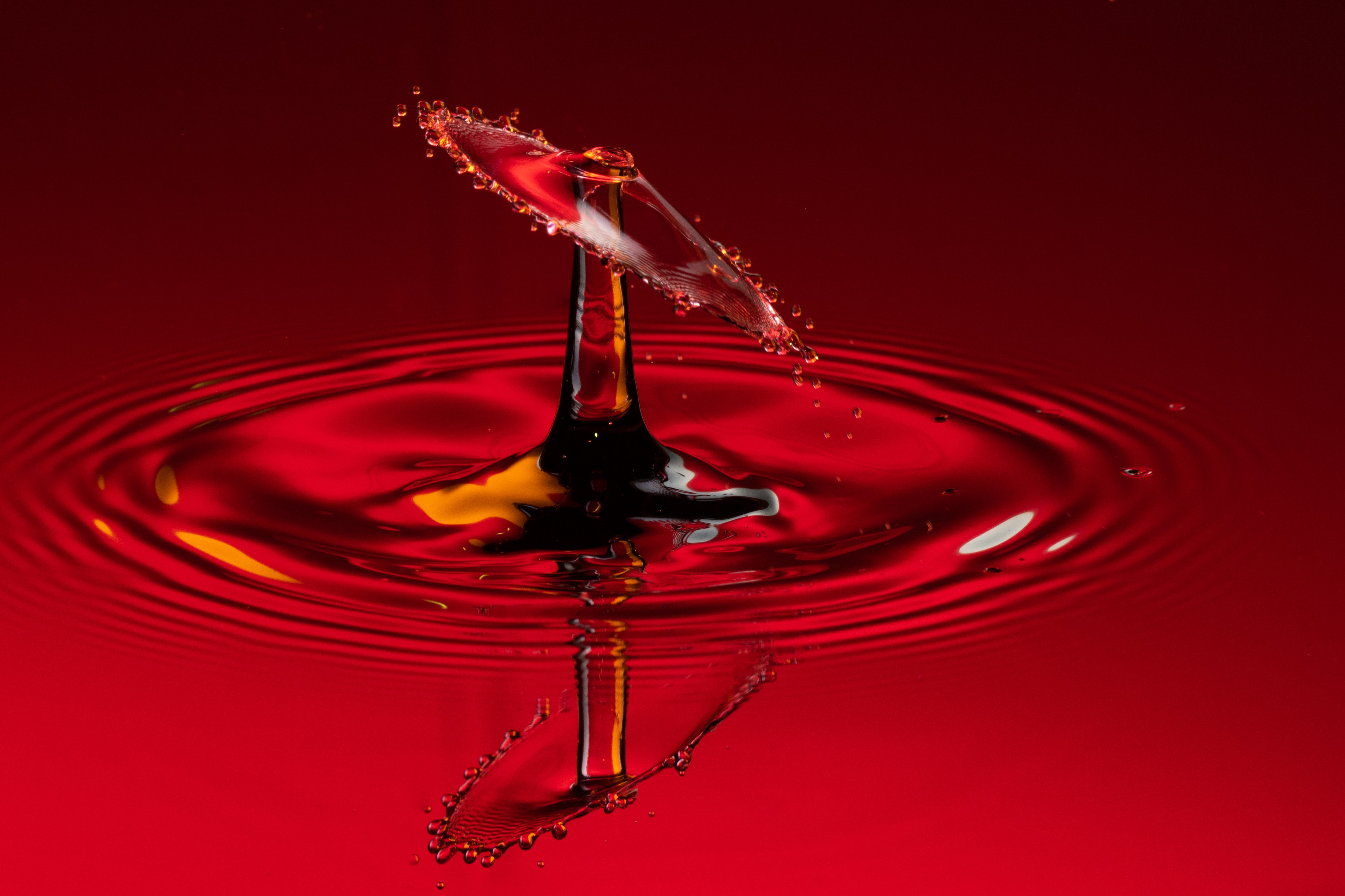 HD wallpaper splash, red, macro, liquid, drop