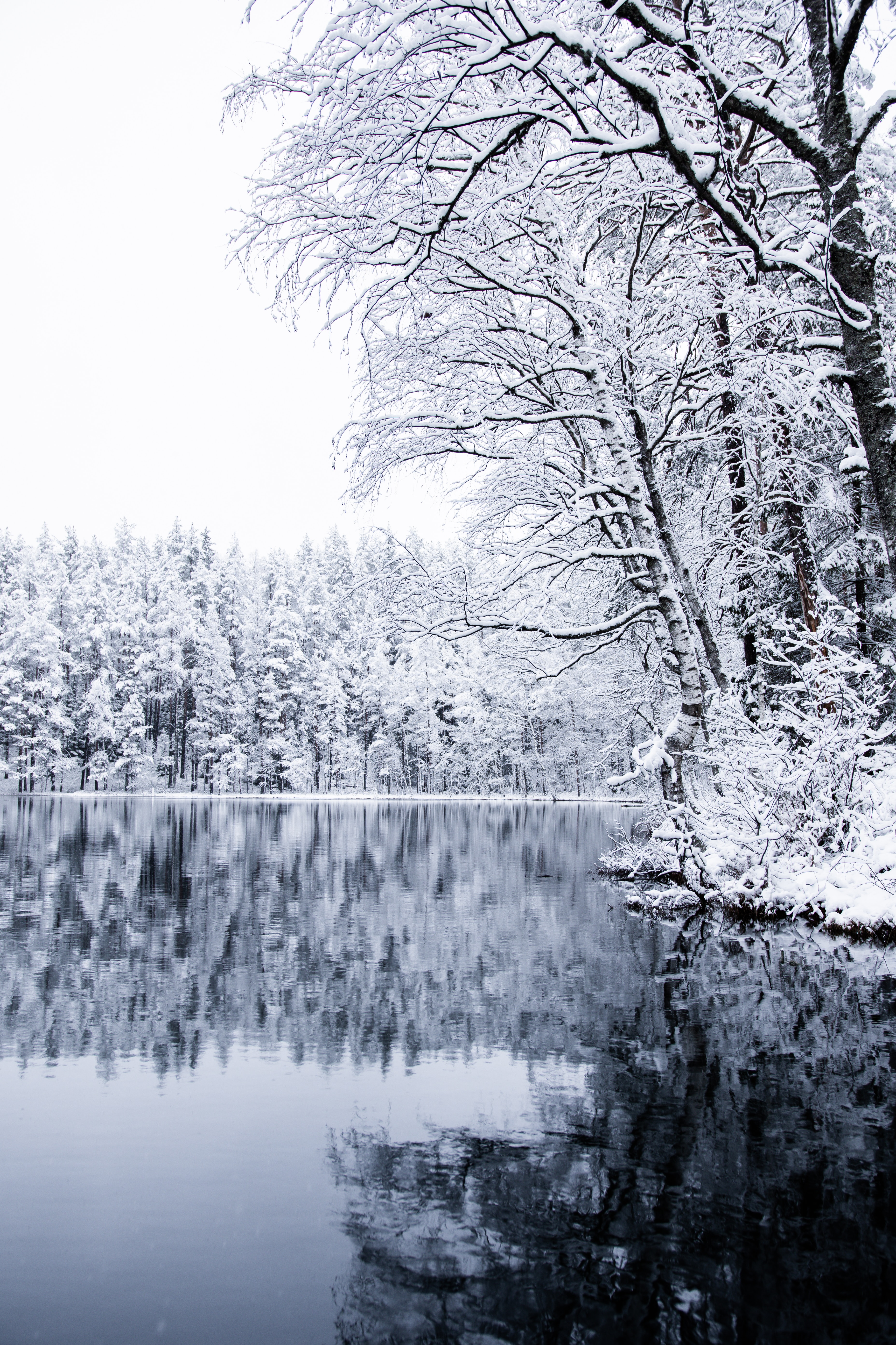 お使いの携帯電話の90171スクリーンセーバーと壁紙風景。 雪, 自然, 湖, 木の写真を無料でダウンロード