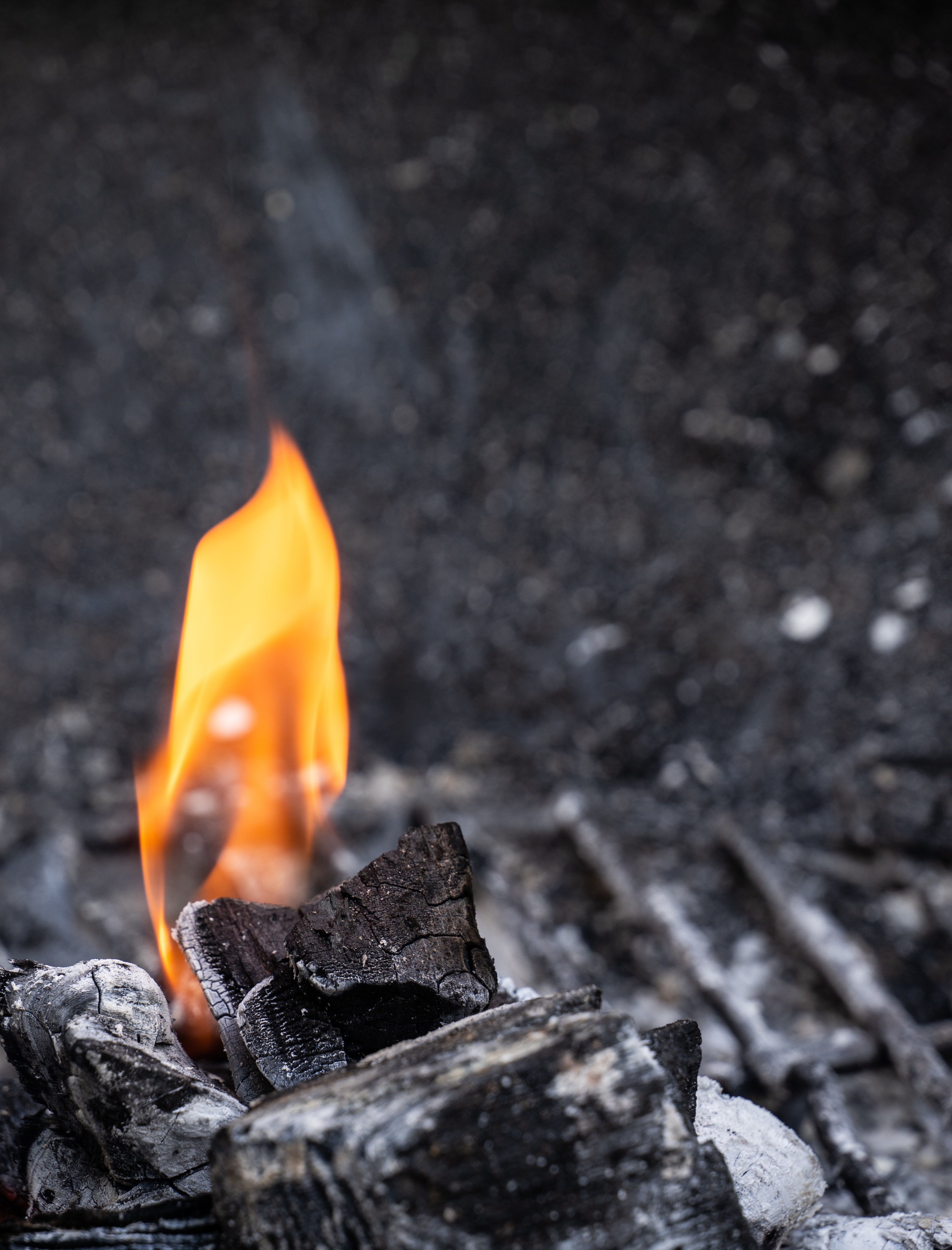 fire, coals, macro, blur, smooth, bw, chb, combustion
