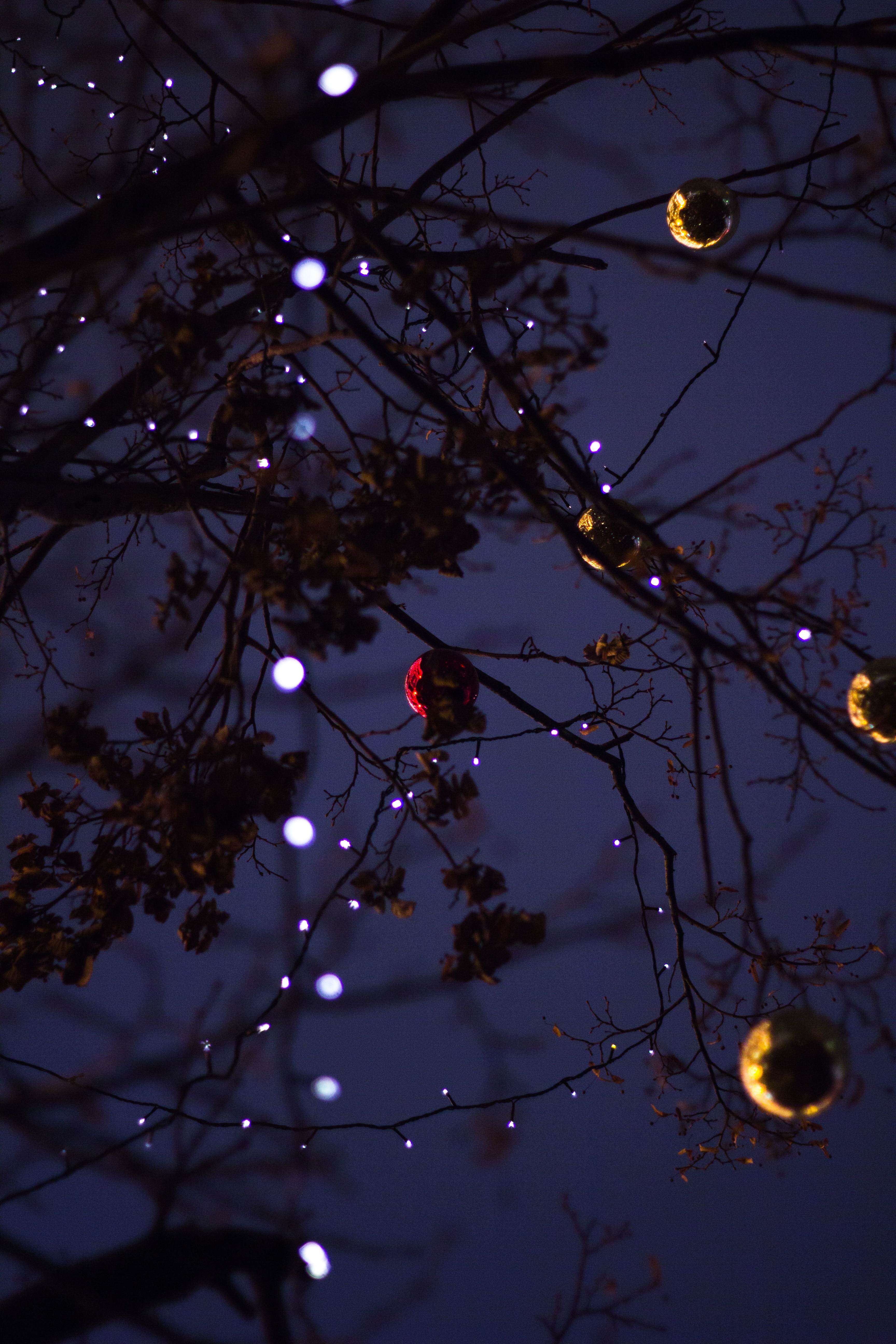 141310 descargar fondo de pantalla brillar, vacaciones, árbol, luz, sucursales, navidad, ramas, guirnalda, madera, decoraciones de navidad, juguetes de árbol de navidad, año nuevo: protectores de pantalla e imágenes gratis