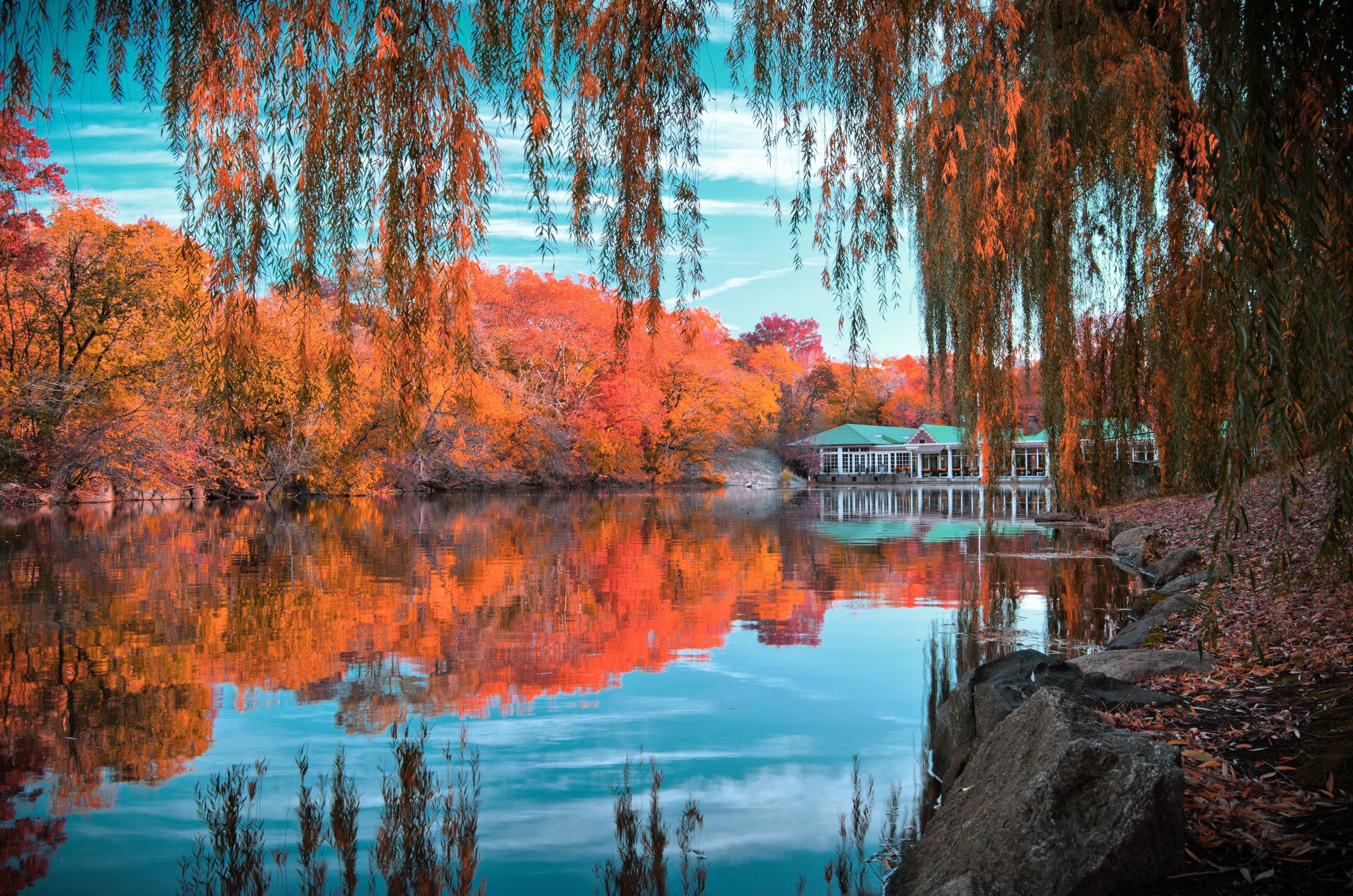 87901 descargar fondo de pantalla otoño, naturaleza, nueva york, precioso paisaje, hermoso paisaje, parque central: protectores de pantalla e imágenes gratis