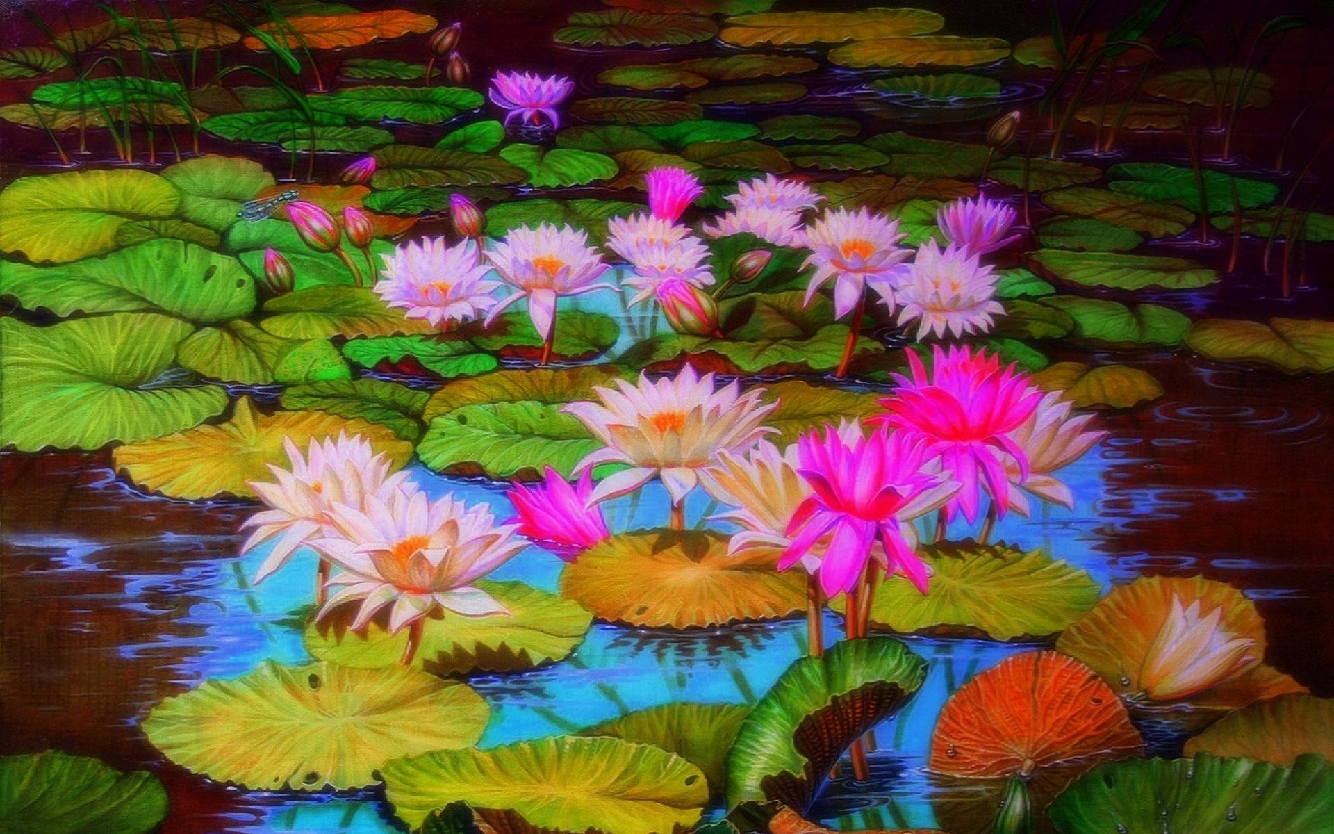 HD desktop wallpaper: Flowers, Lotus, Flower, Earth, Pond, Dragonfly, Lily  Pad download free picture #383622
