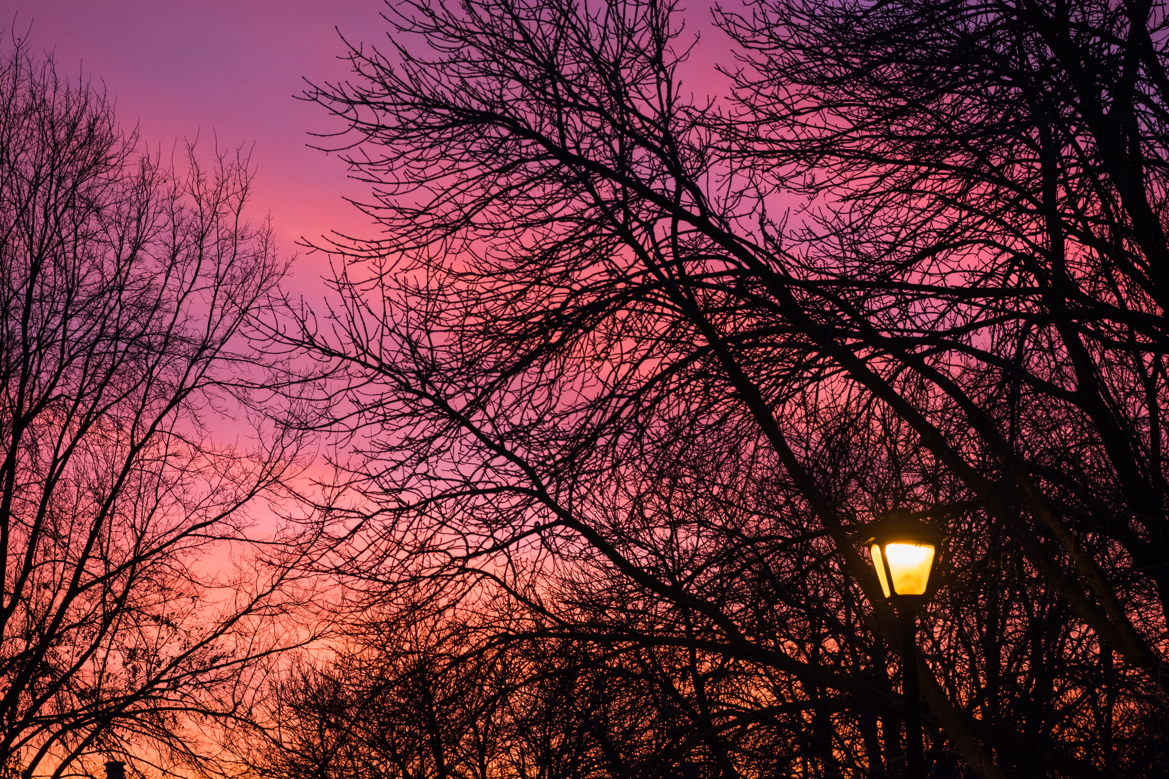 lantern, lamp, trees, dark, sunset, twilight, dusk HD wallpaper
