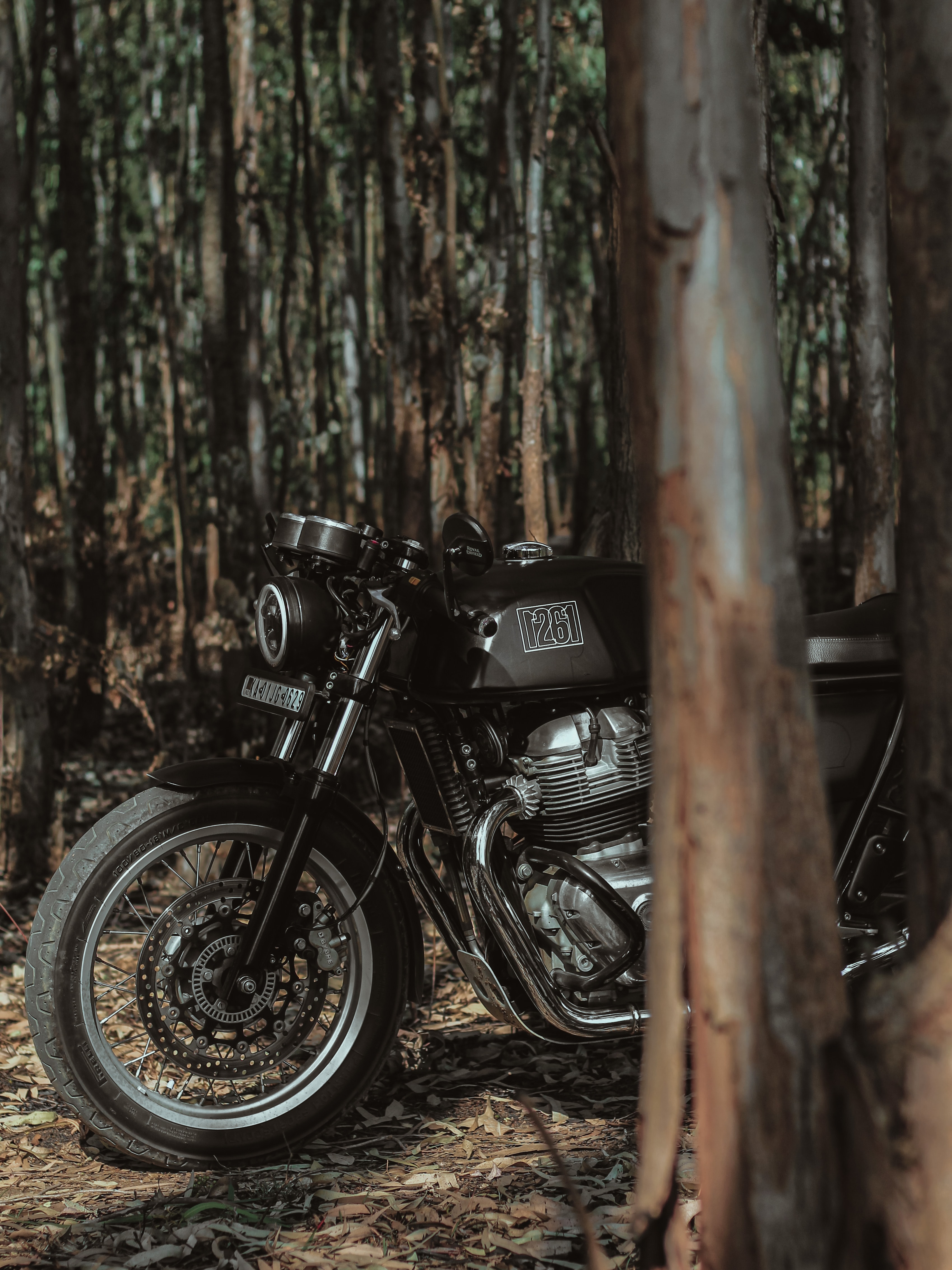 black, royal enfield, forest, motorcycle HD Wallpaper for Phone