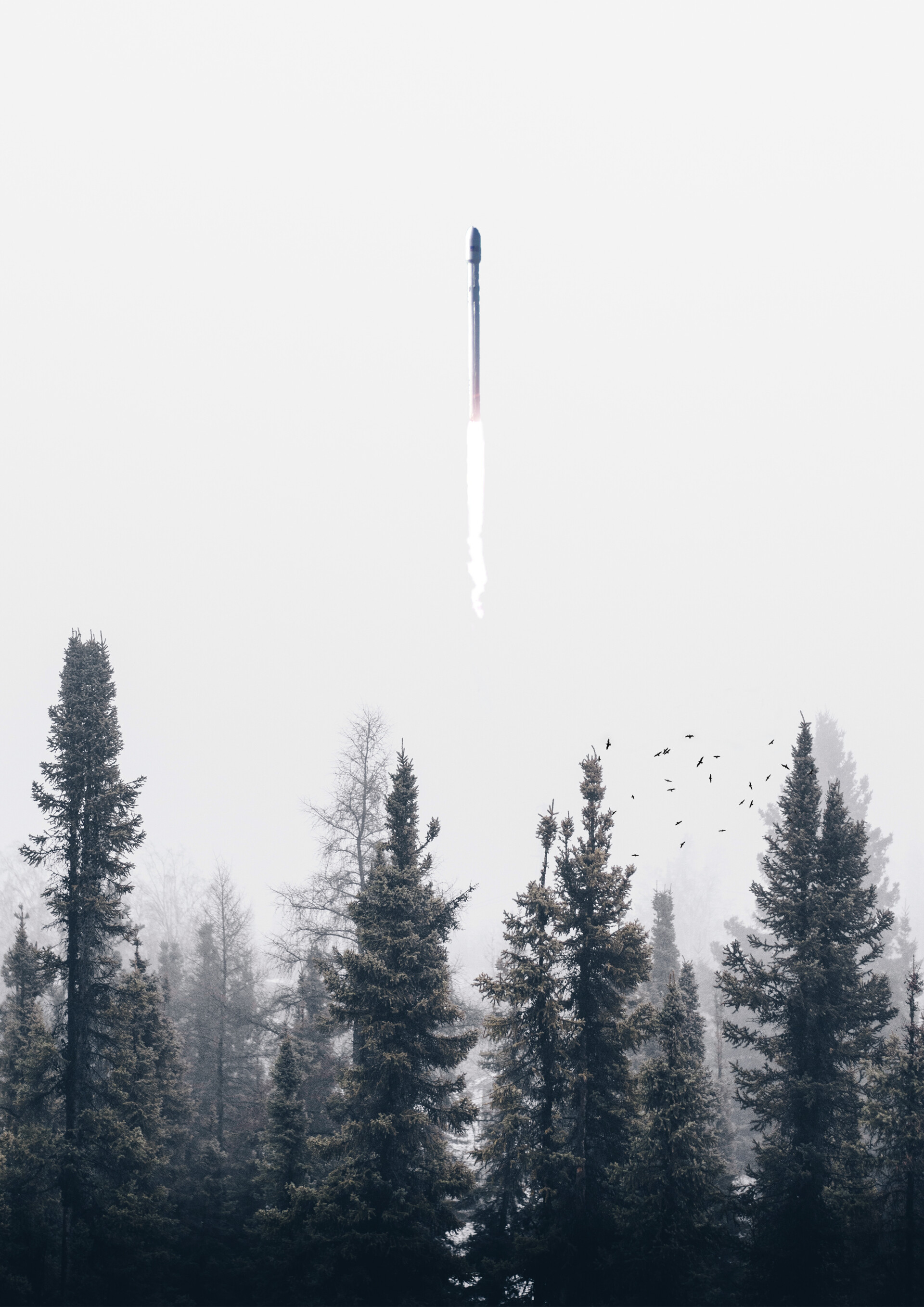 121743 Bildschirmschoner und Hintergrundbilder Rakete auf Ihrem Telefon. Laden Sie nebel, verschiedenes, sonstige, bäume Bilder kostenlos herunter