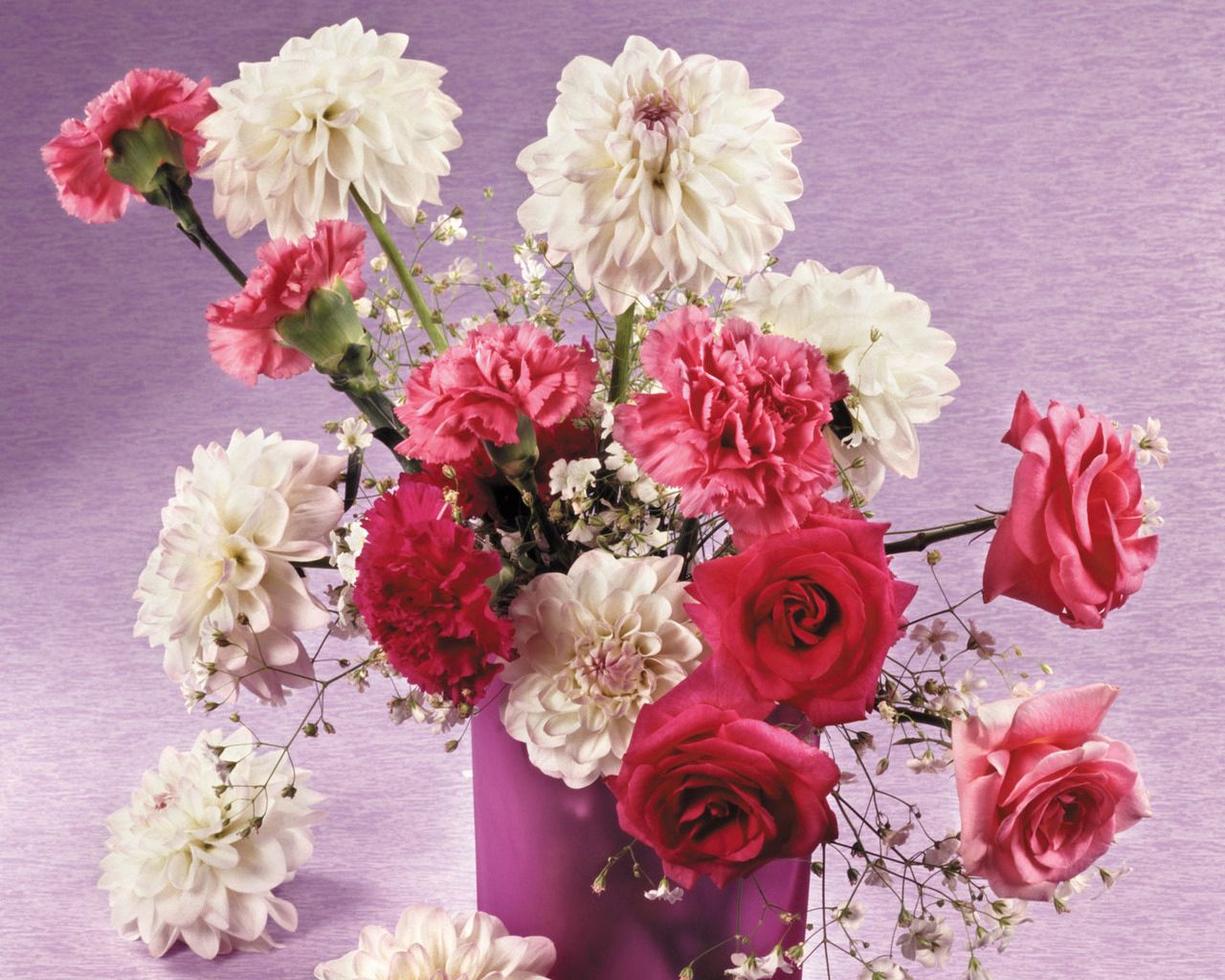 Handy-Wallpaper Blumen, Roses, Nelken, Schönheit, Strauß, Bouquet, Vase, Dahlien kostenlos herunterladen.