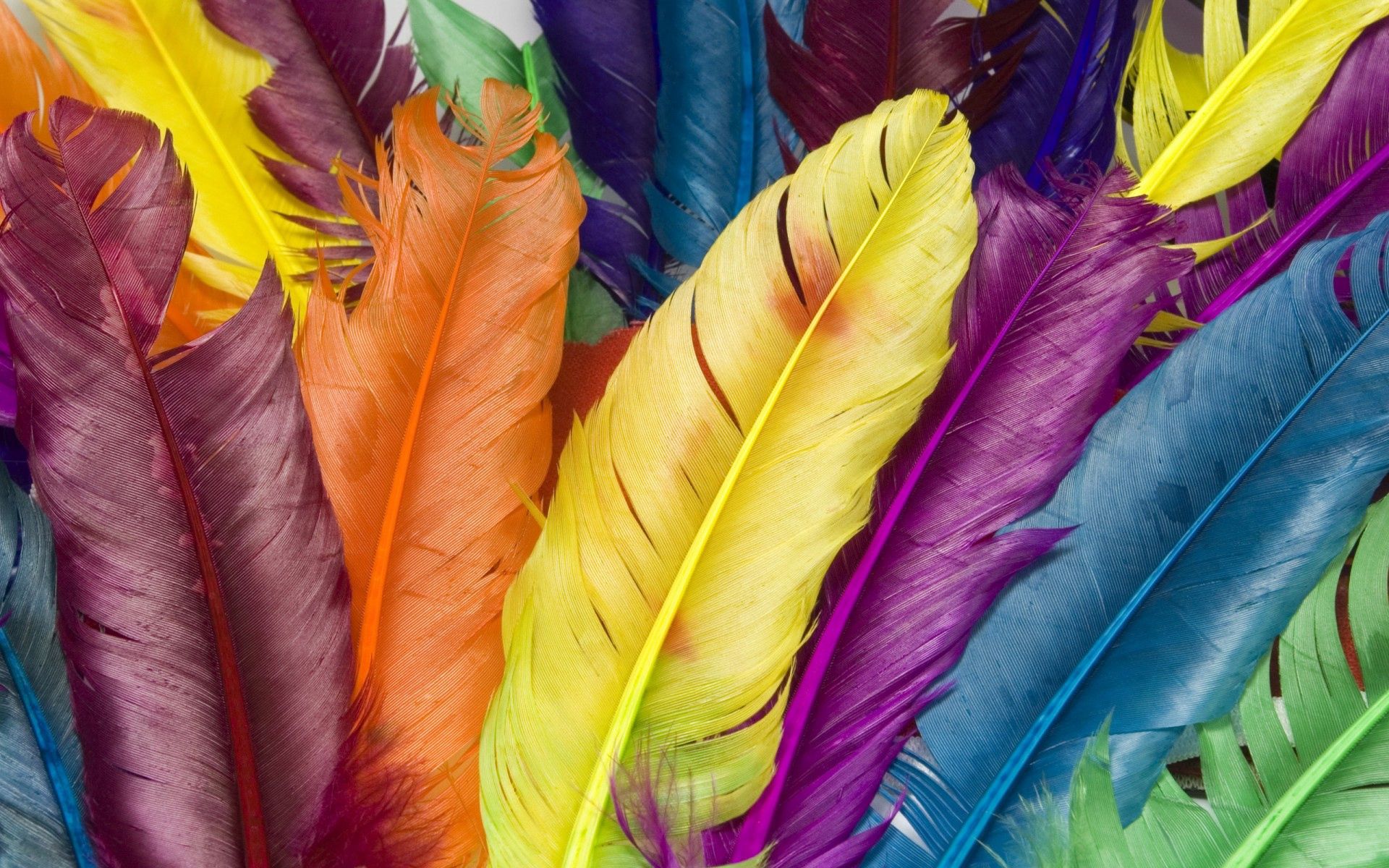 102230 скачать обои разноцветный, разное, красочный, перья, яркий - заставки и картинки бесплатно