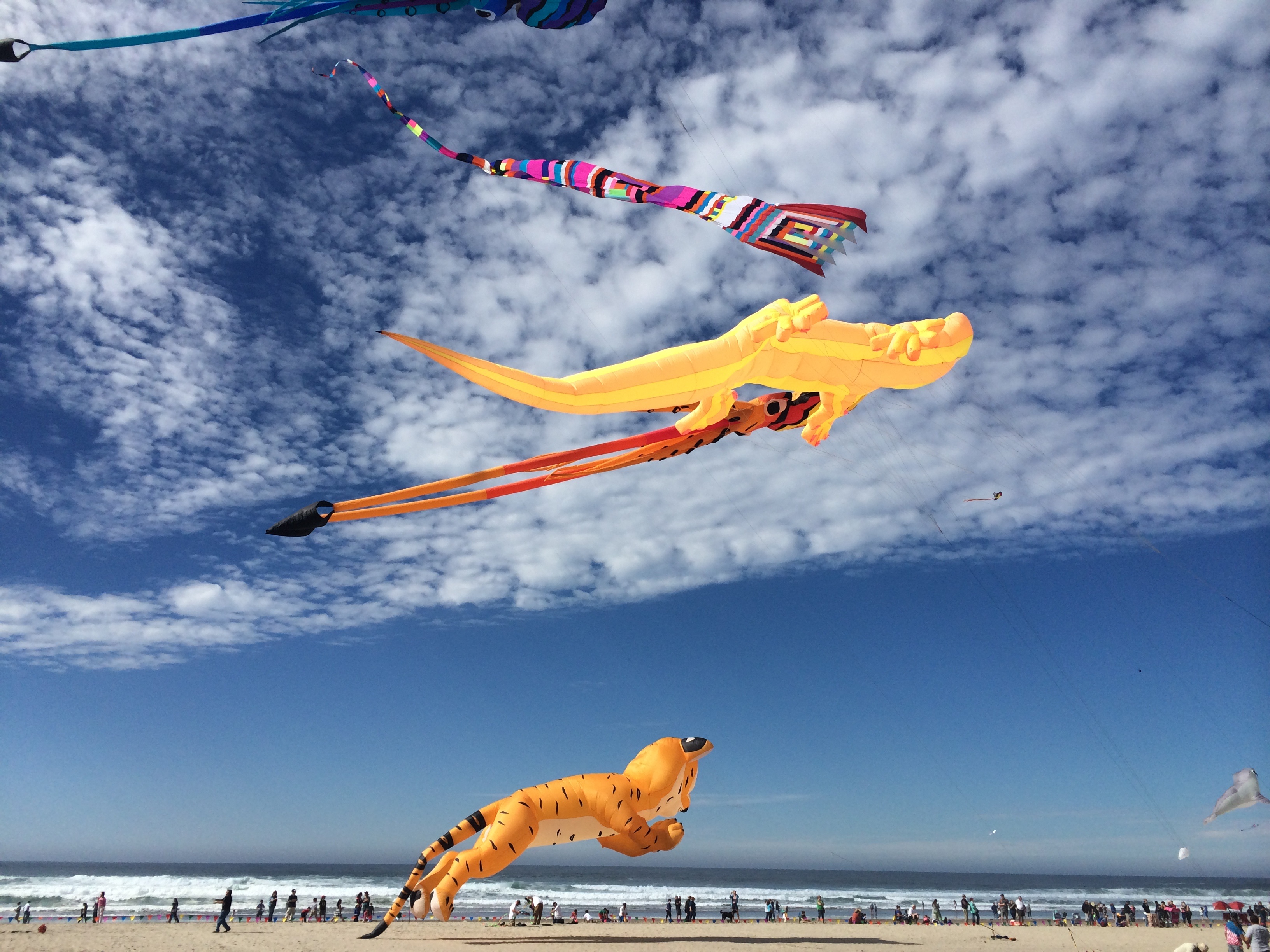 HD desktop wallpaper: People, Sky, Colors, Cloud, Kite, Flying, Man Made  download free picture #749297