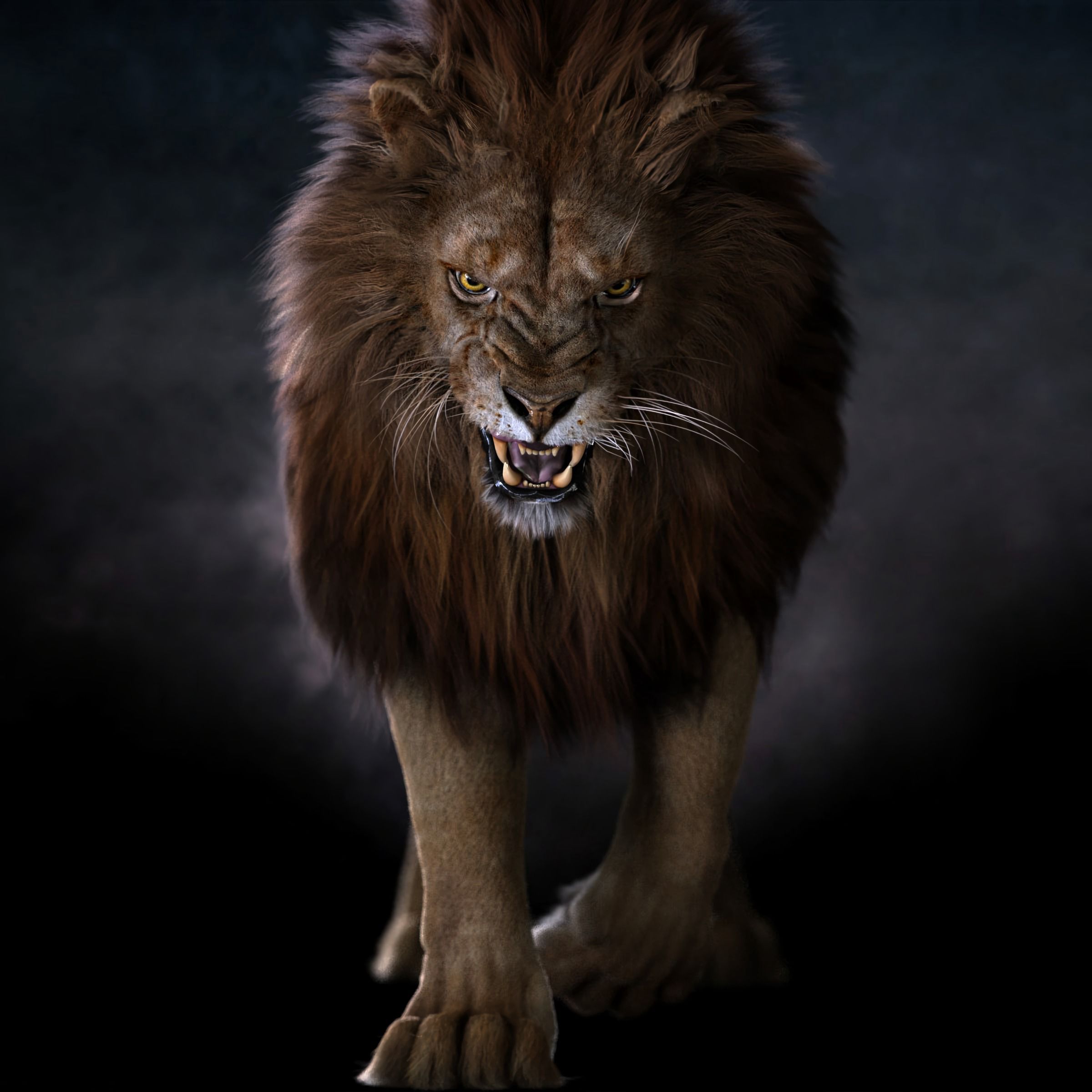 fangs, lion, animals, predator, big cat, sight, opinion