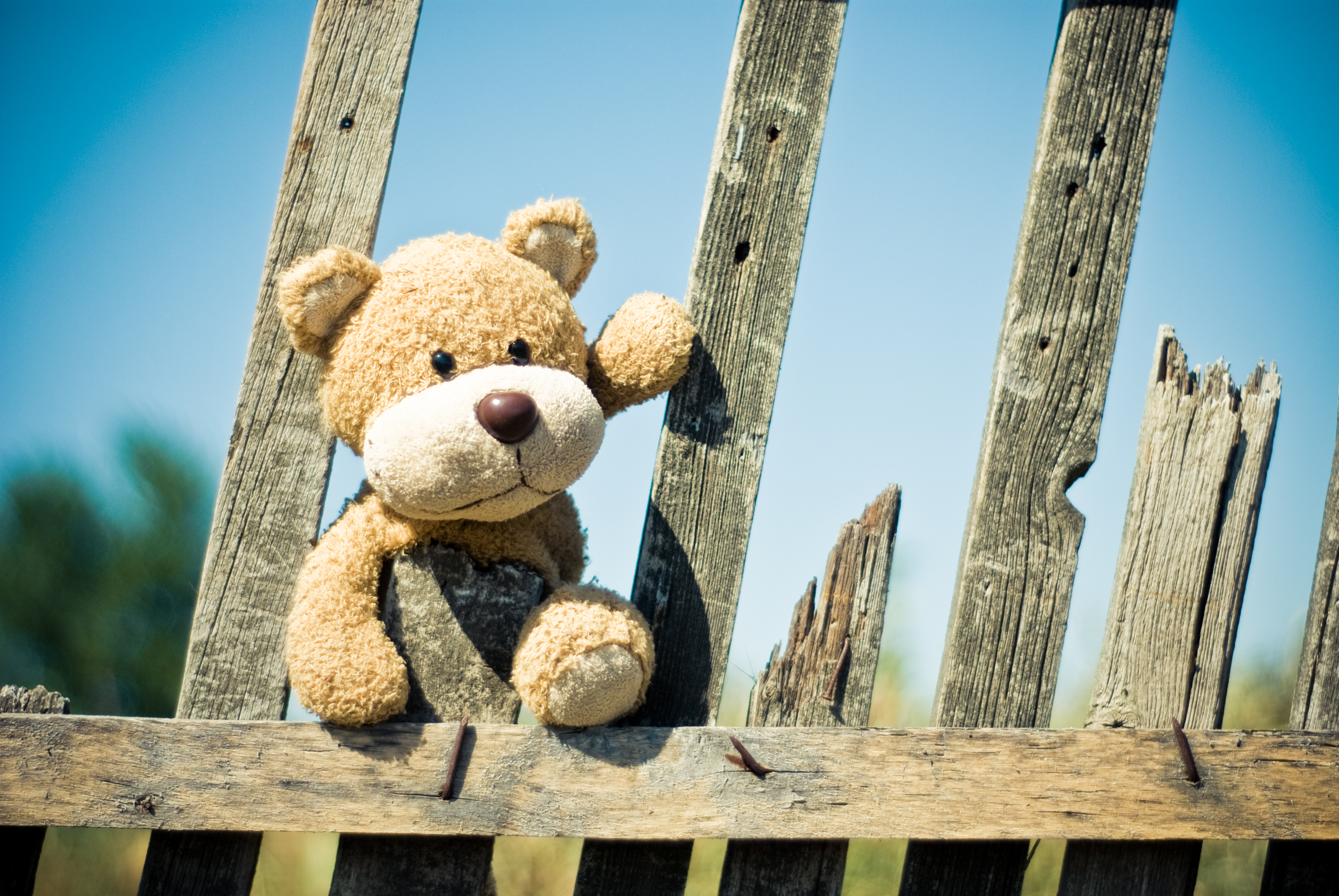 Laden Sie das Spielzeug, Teddybär, Verschiedenes, Sonstige, Zaun-Bild kostenlos auf Ihren PC-Desktop herunter
