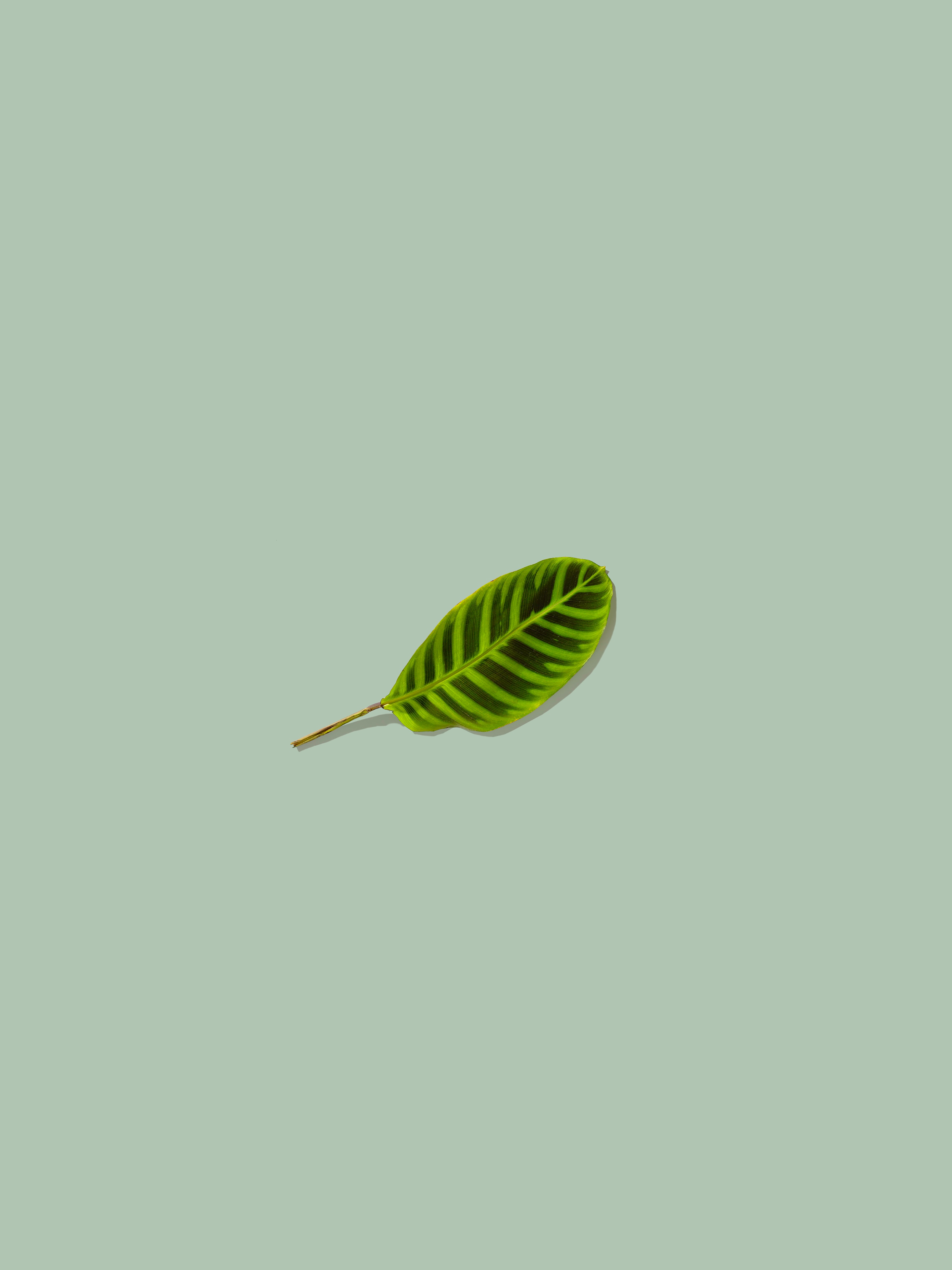 minimalism, green 3d Wallpaper