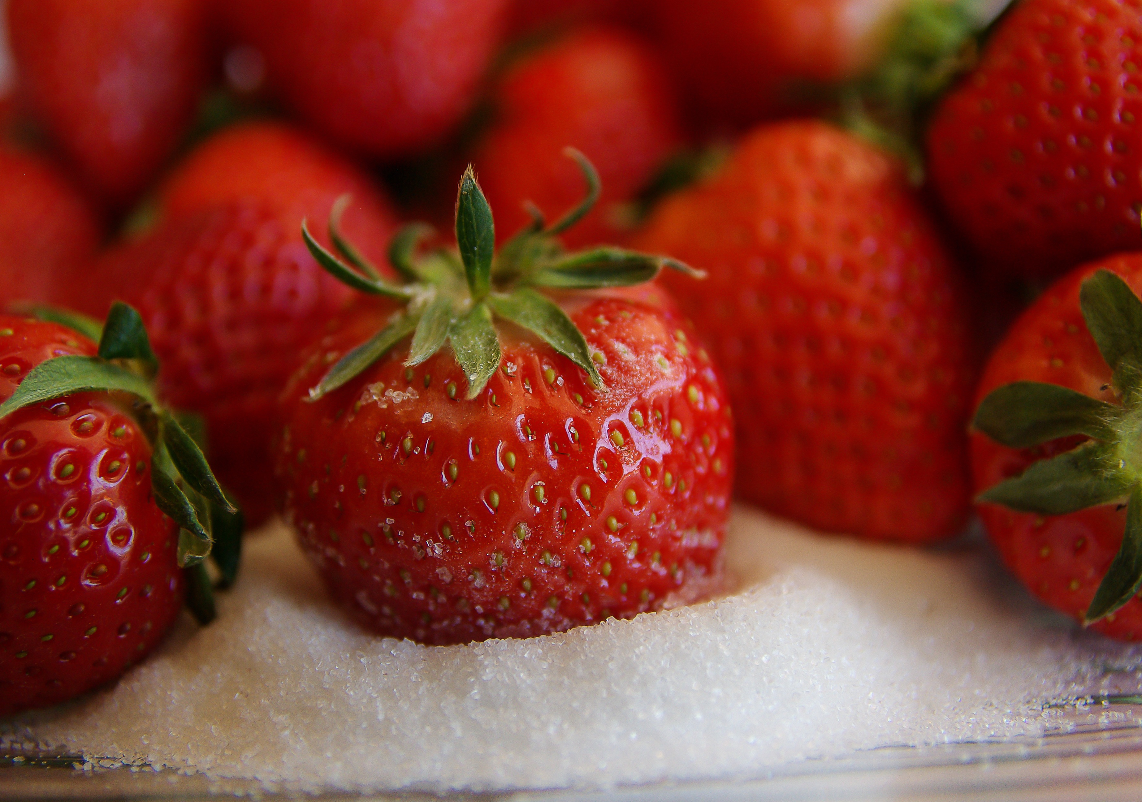 strawberry, food, sugar, berries Panoramic Wallpapers