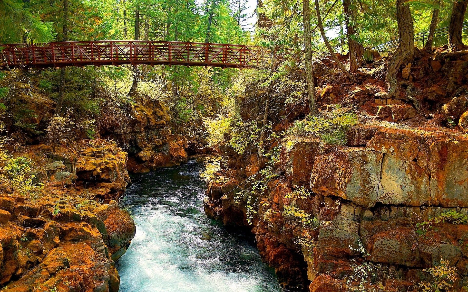 bridge, stones, river, nature, trees, landscape download HD wallpaper