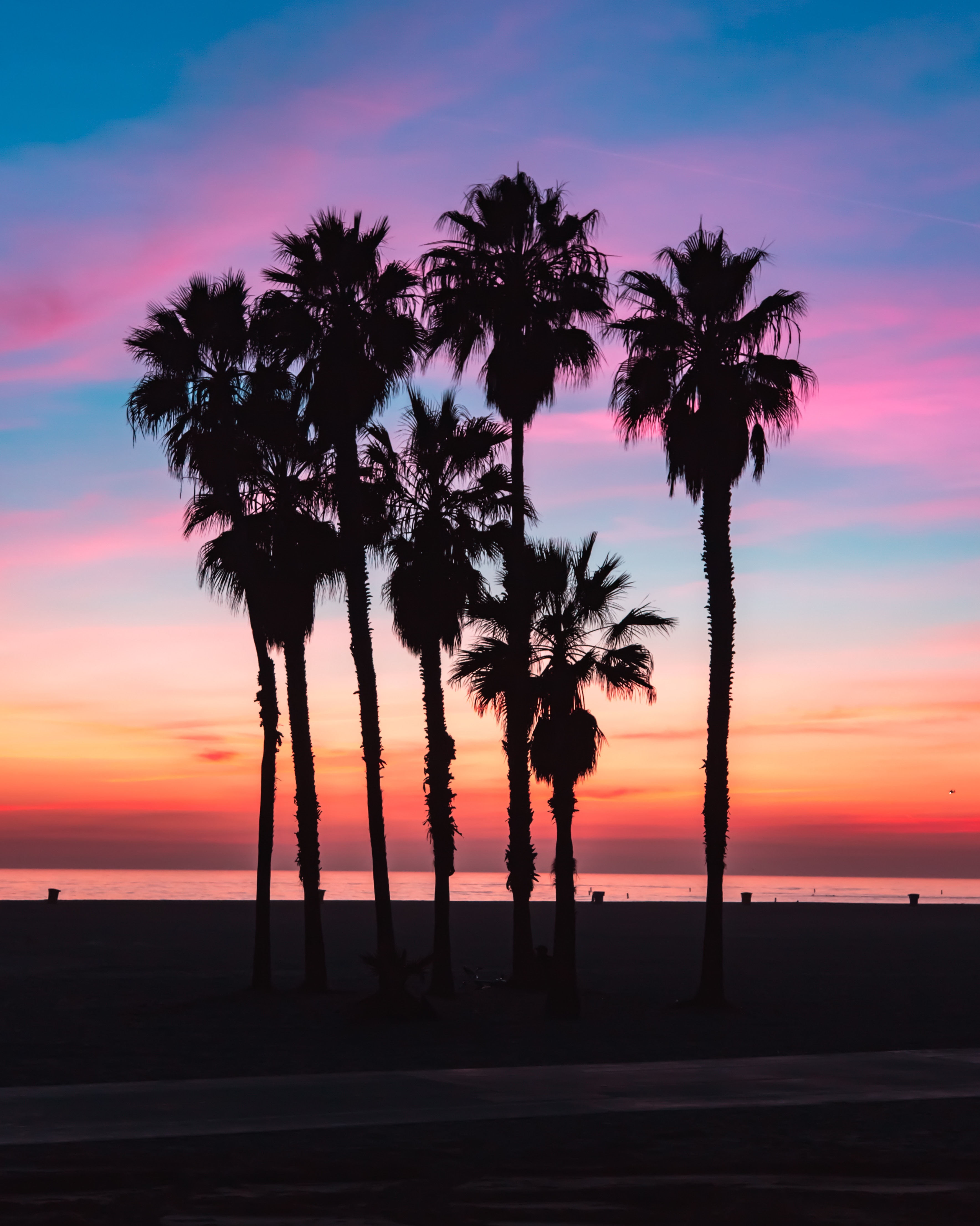 silhouettes, nature, sky, beach, palms, shadow HD wallpaper