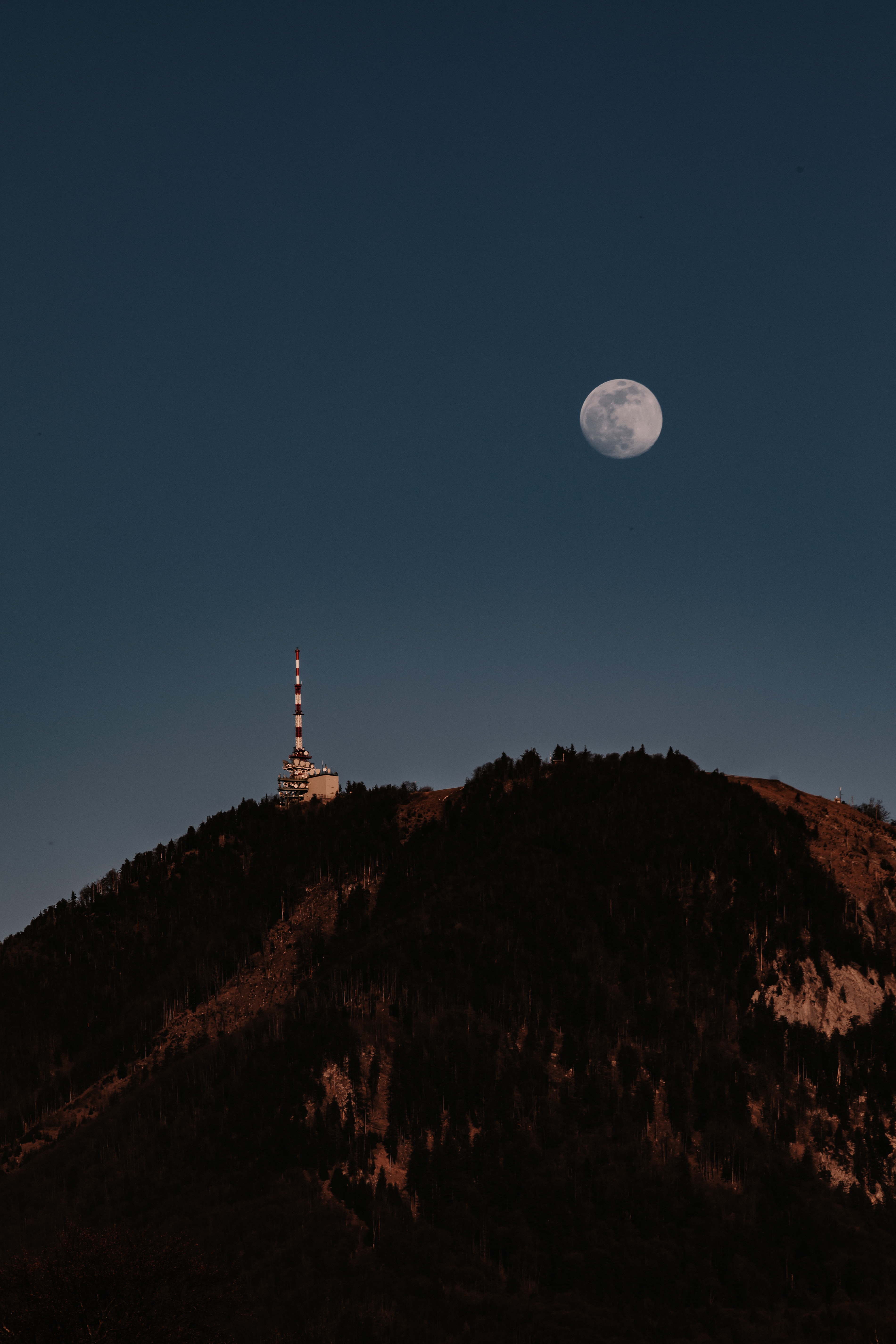 nature, tower, hill, trees, moon