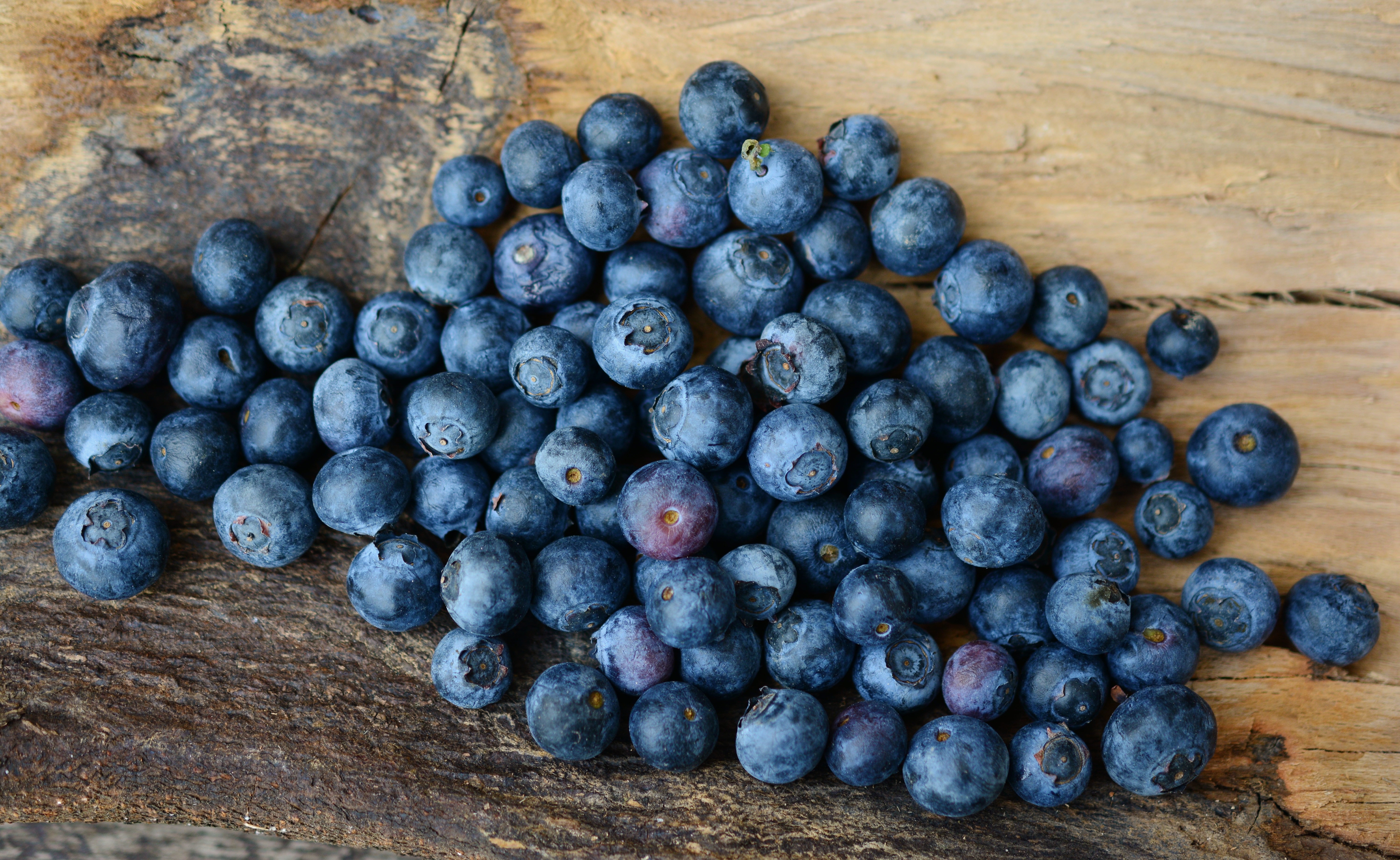 iPhone Wallpapers food, berries, ripe Bilberries