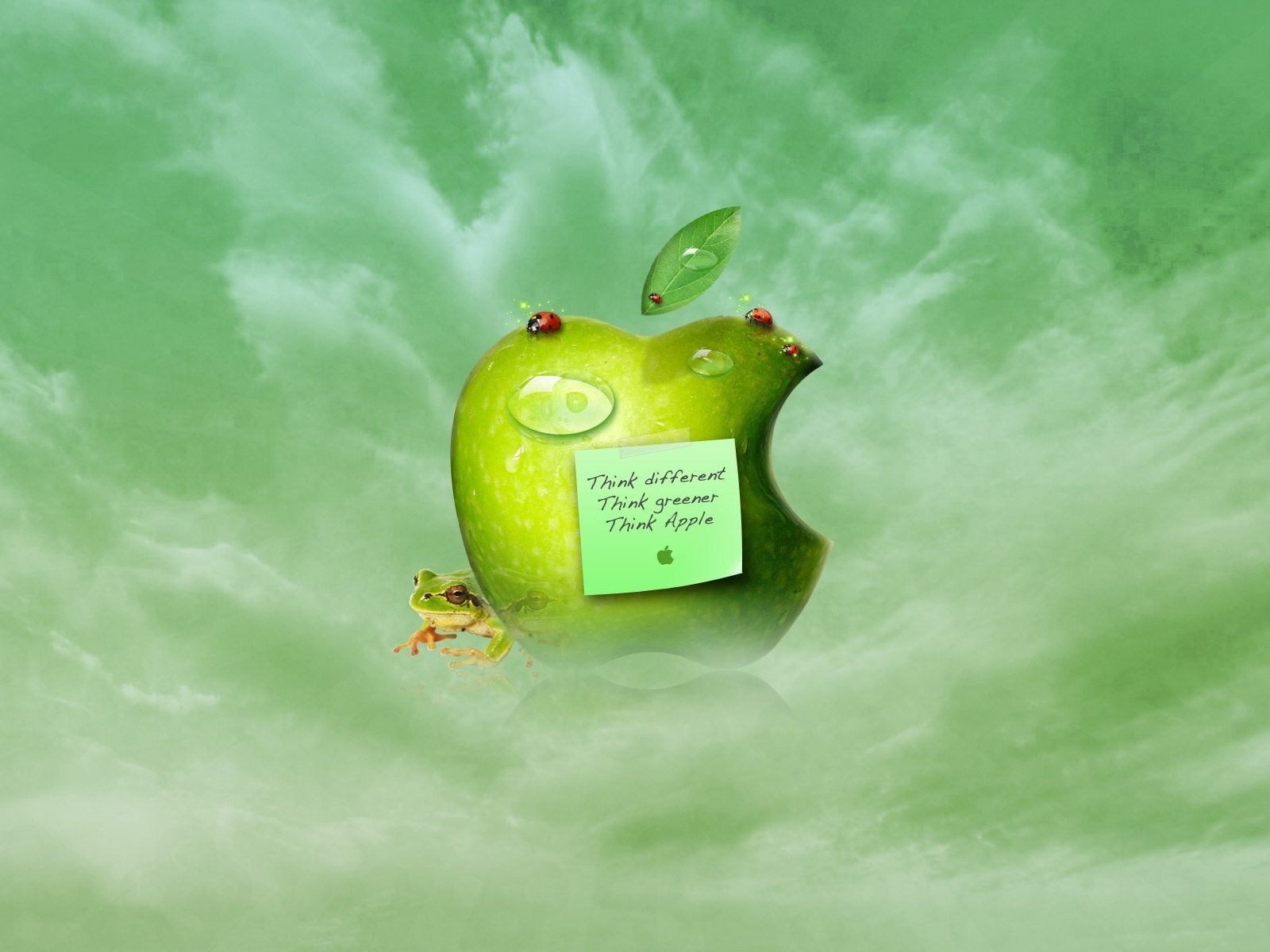 apple, apples, green, logos Ultra HD, Free 4K, 32K