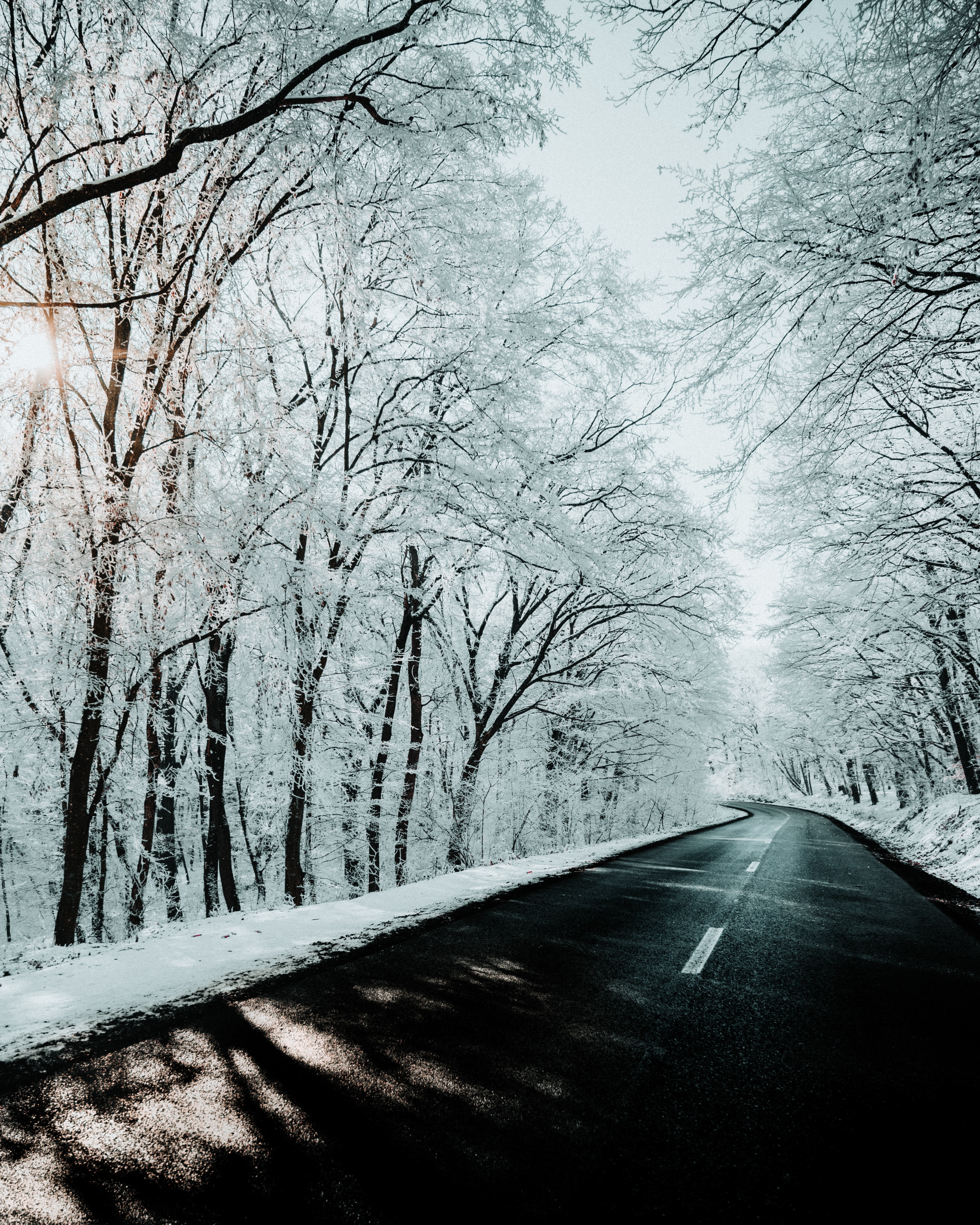 HD wallpaper snow, winter, nature, trees, road