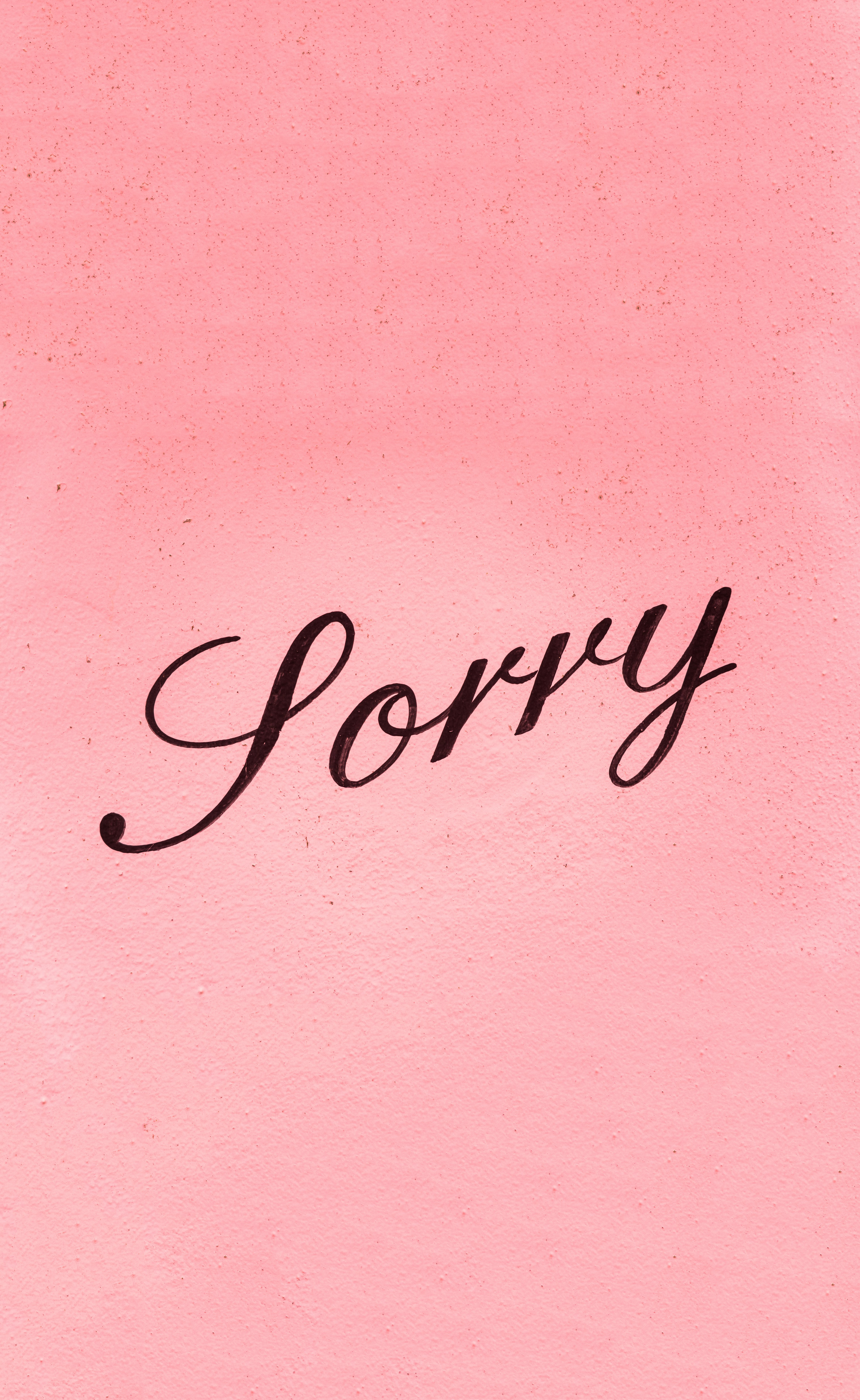 words, pink, inscription, text, word, lettering, sorry