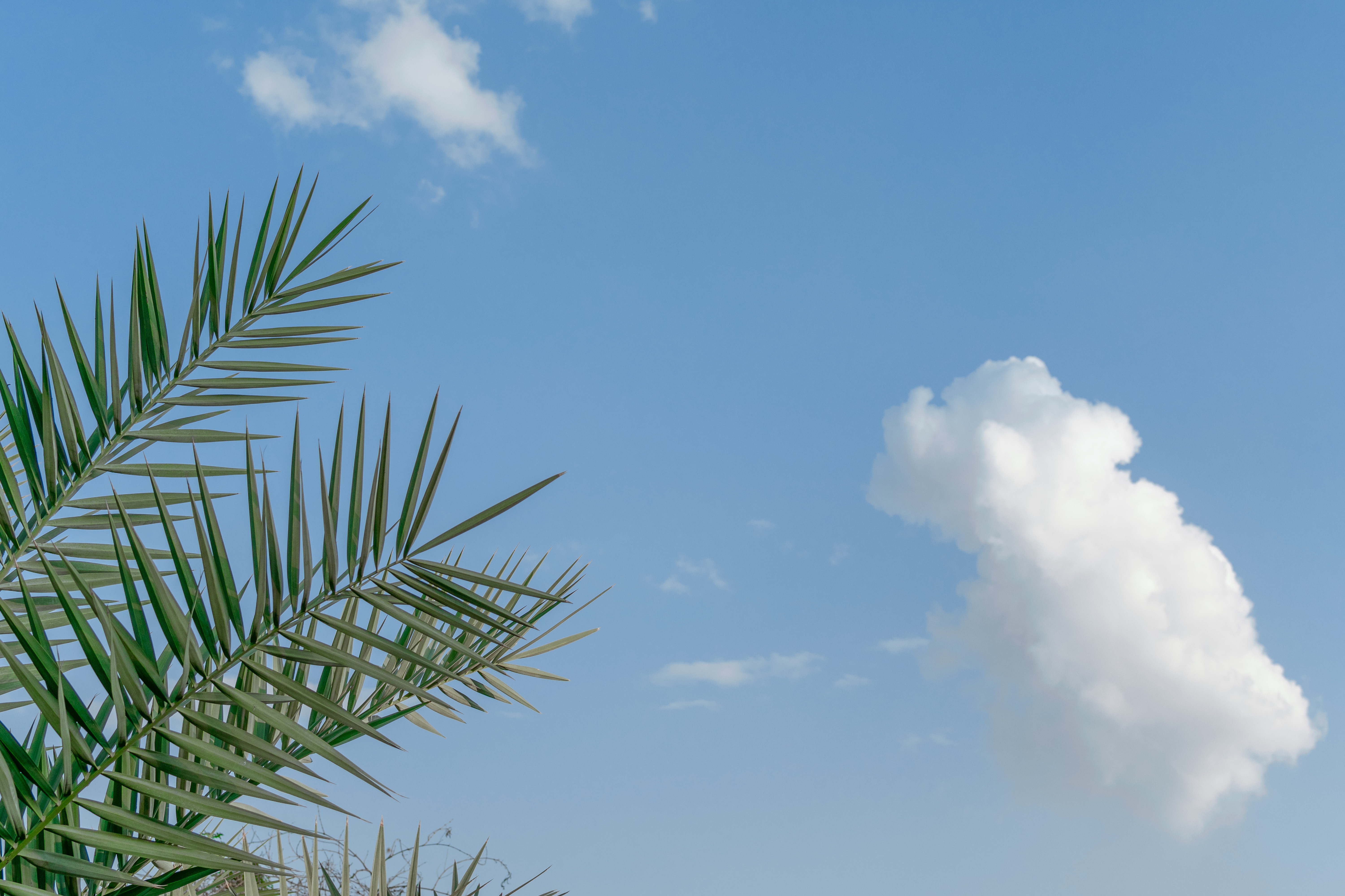 download for free clouds, sky, nature, tropics