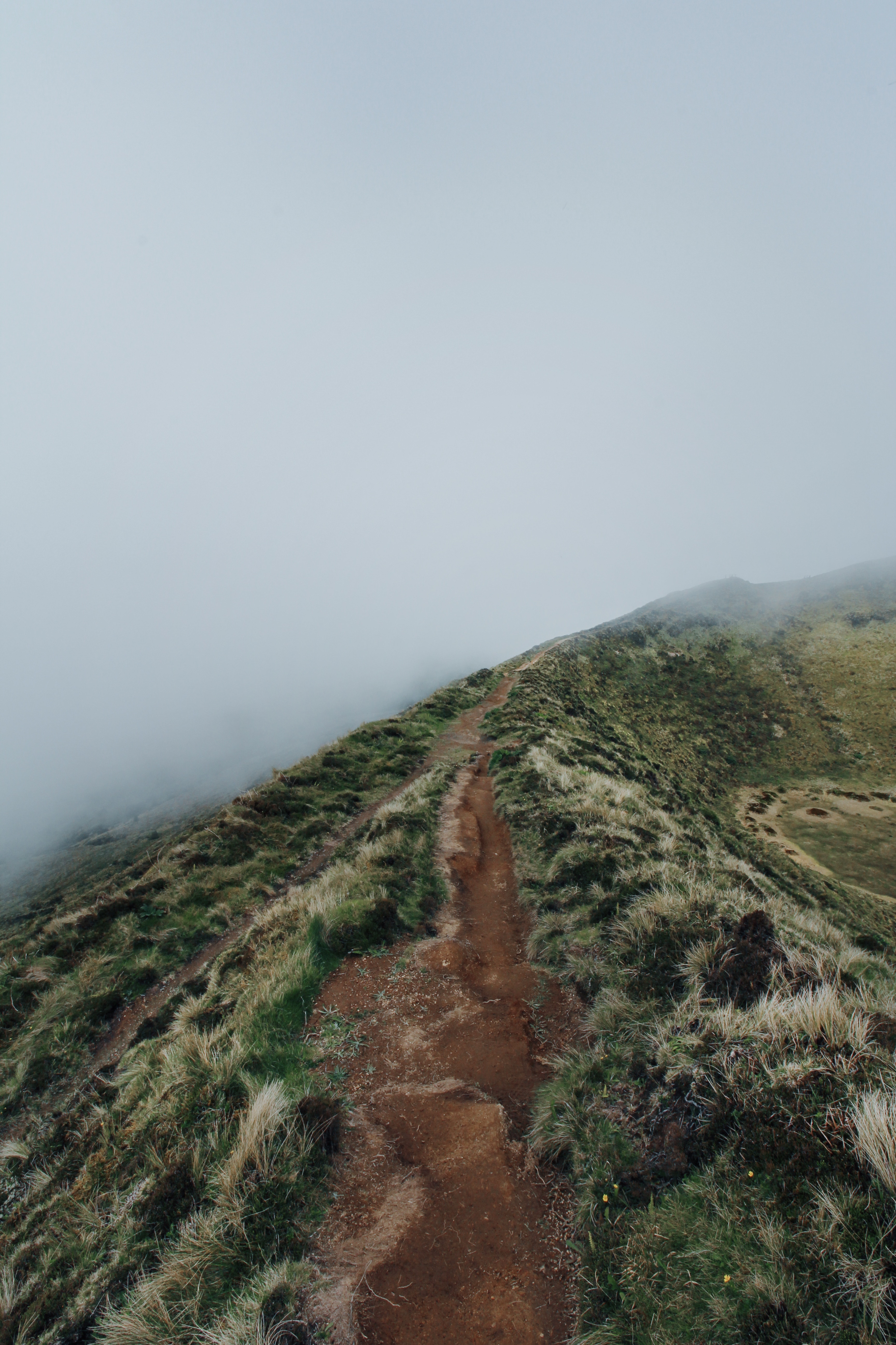4K Phone Wallpaper path, fog, hill, spine