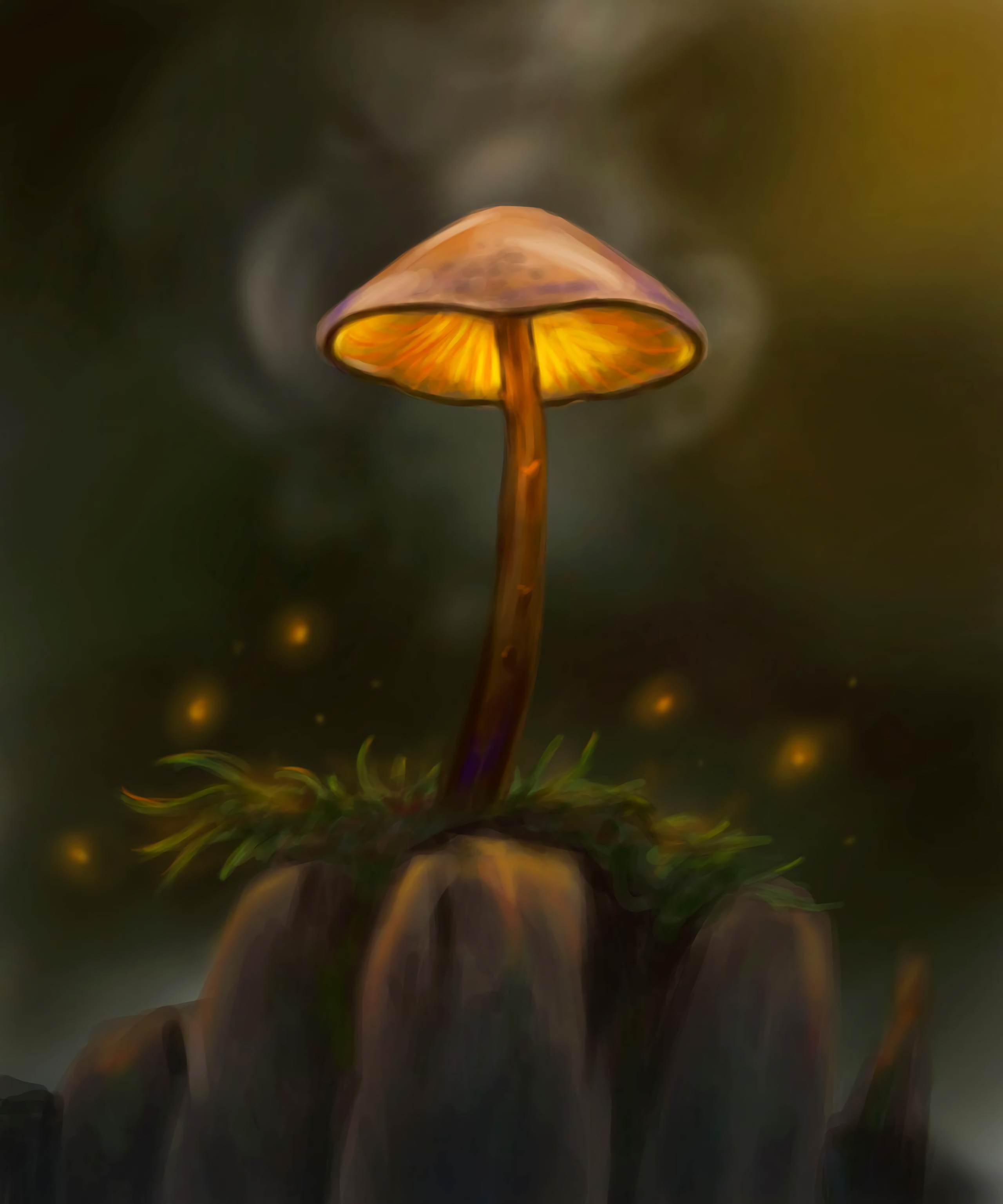 Mobile HD Wallpaper Mushroom 