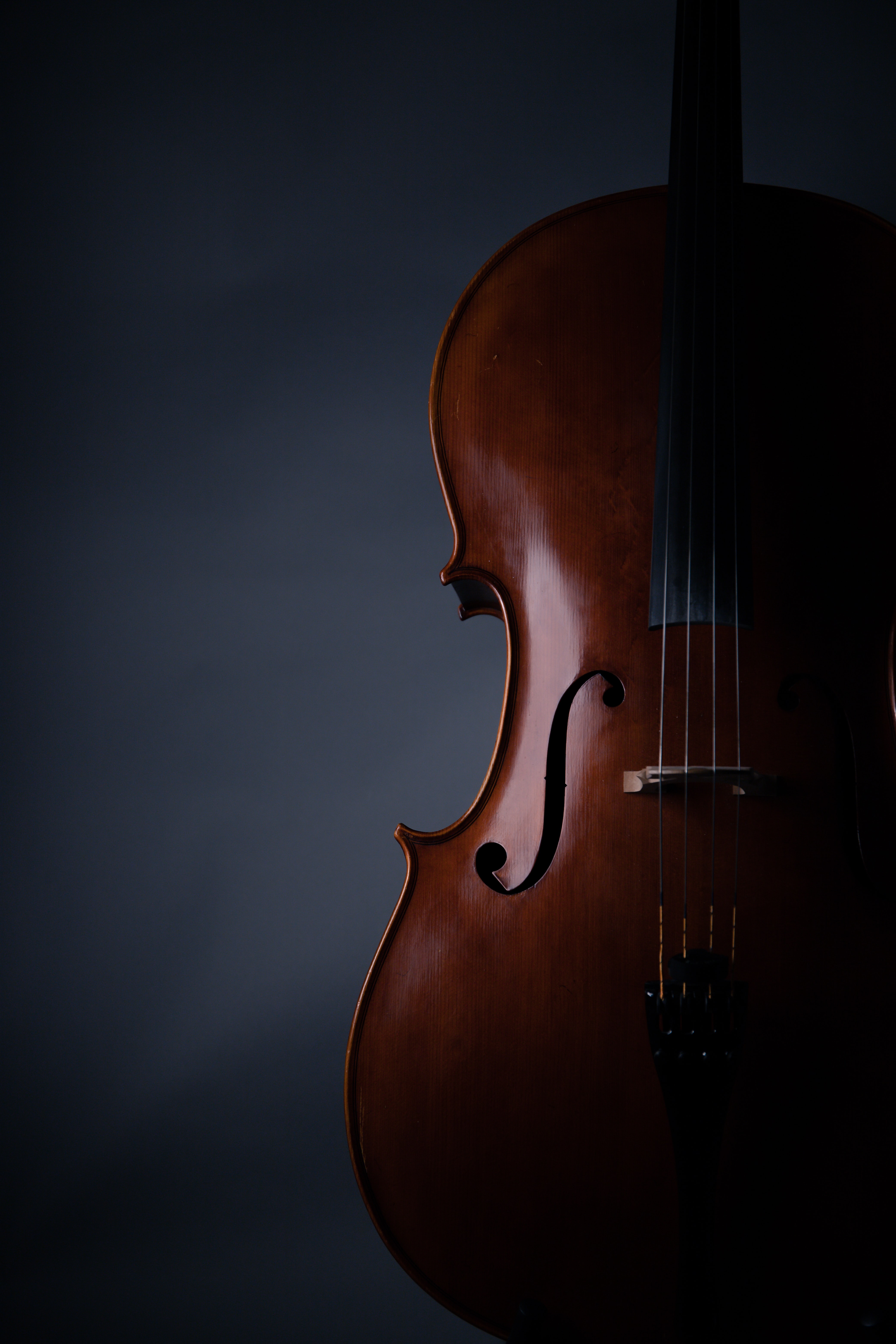 95076 Screensavers and Wallpapers Musical Instrument for phone. Download music, musical instrument, violin pictures for free