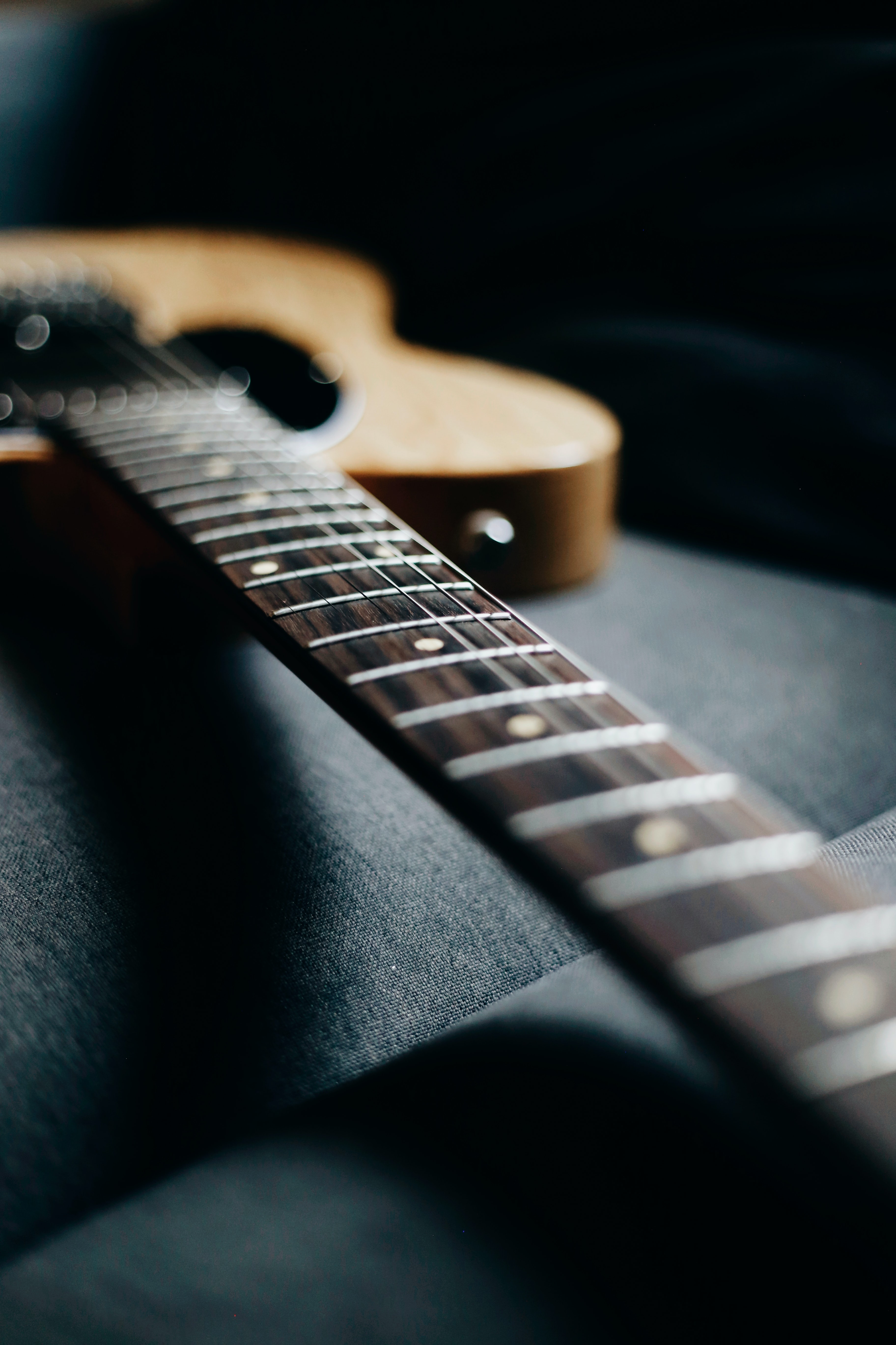 strings, music, guitar, vulture Musical Instrument HD Android Wallpapers