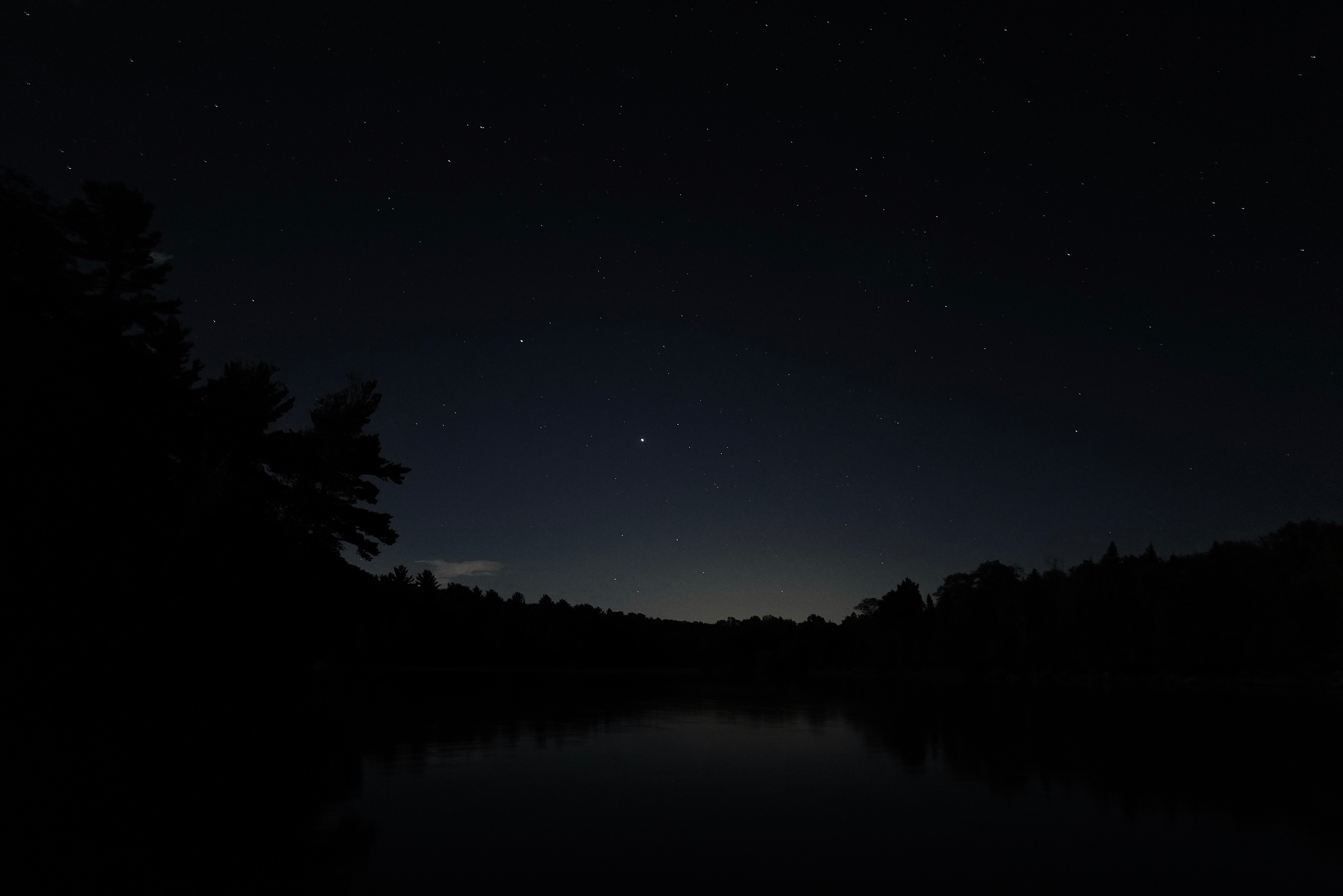 night, black, lake, dark, silhouette, branches