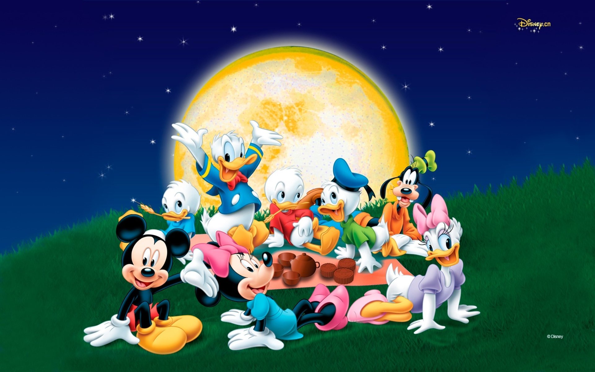 Disney Pictures Daisy Duck Hd Wallpapers For Mobile Phones 1920x1200   Wallpapers13com