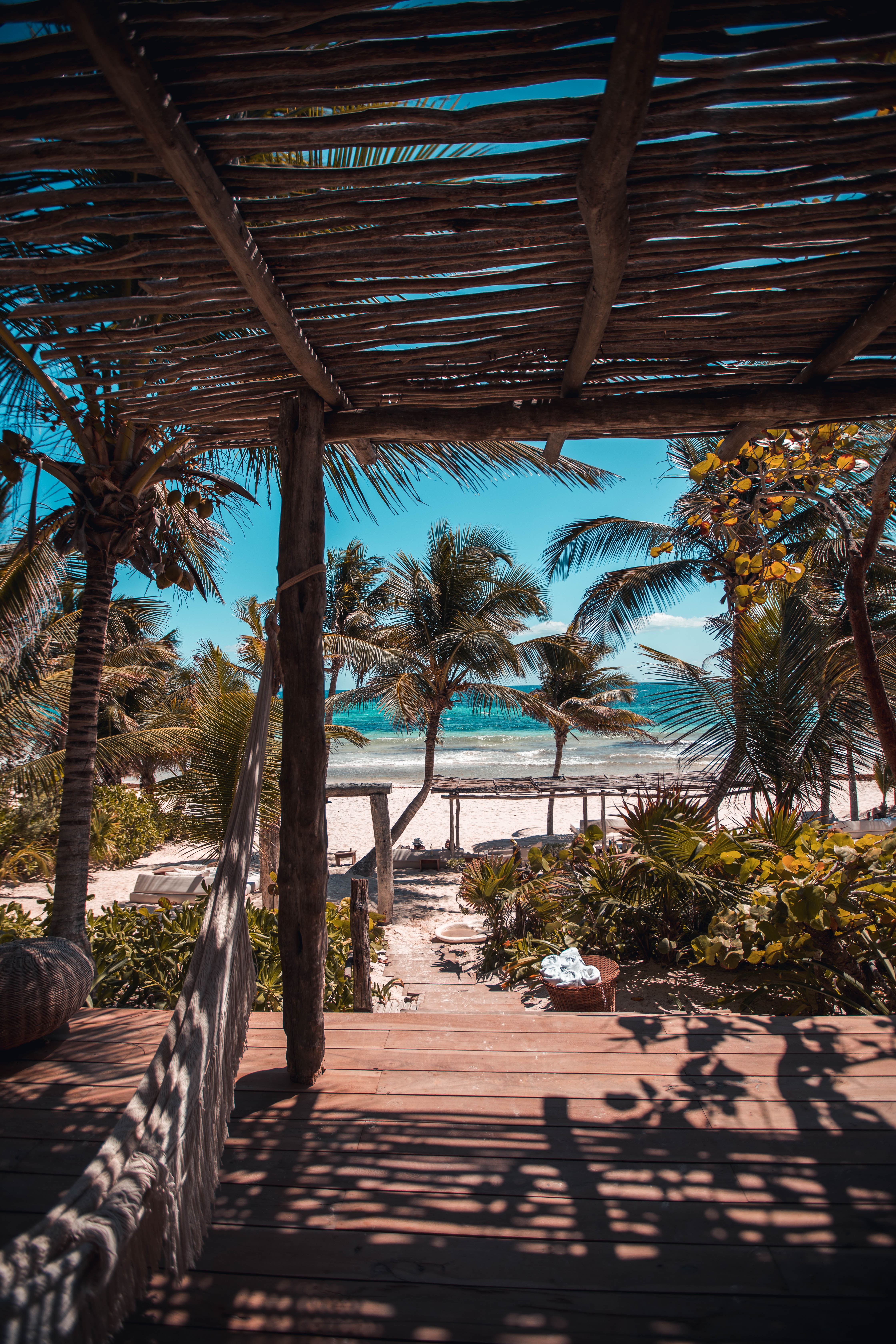 beach, palms, summer, nature, relaxation, rest, tropics HD wallpaper