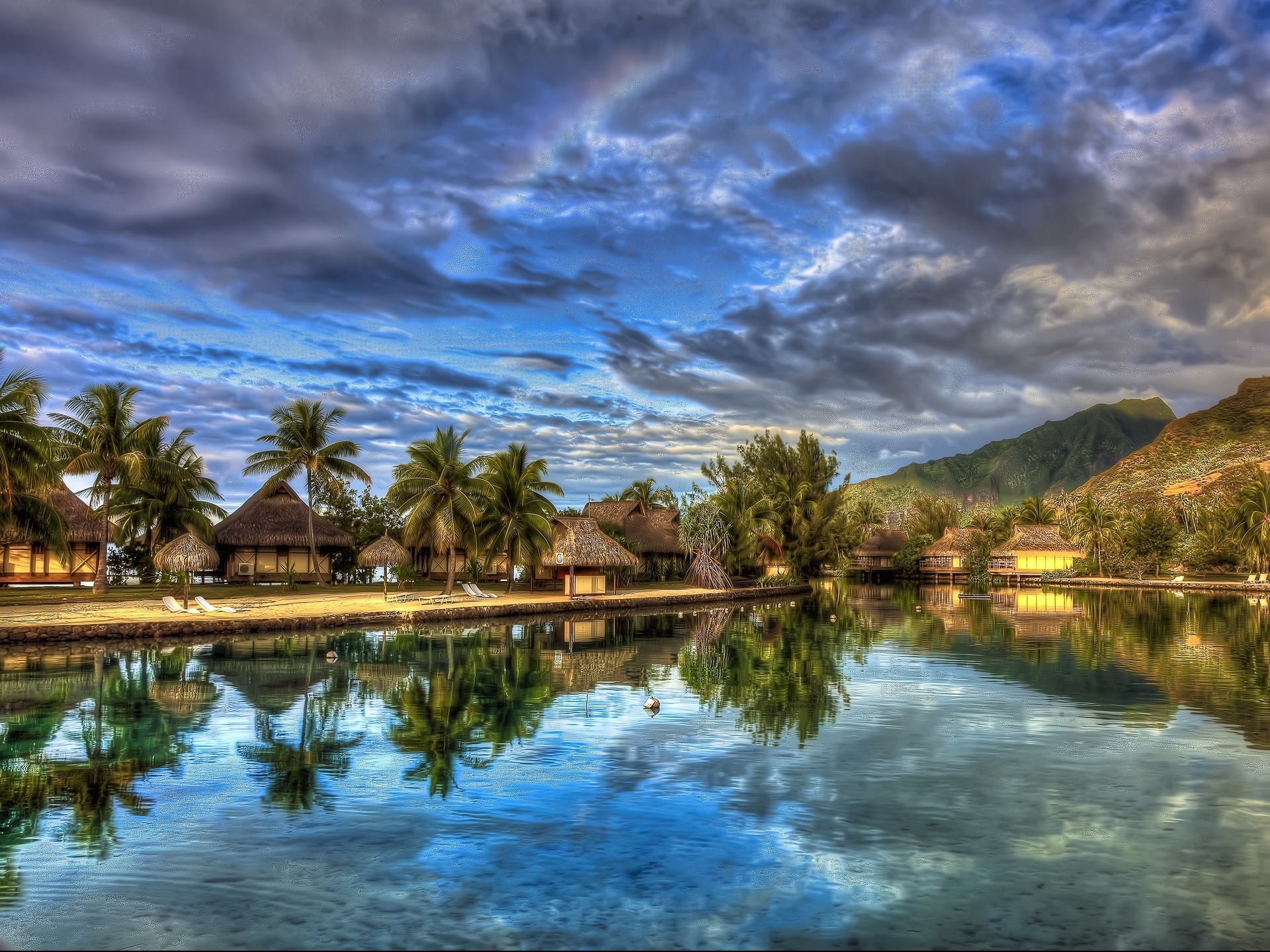 palms, landscape, sky, blue lock screen backgrounds