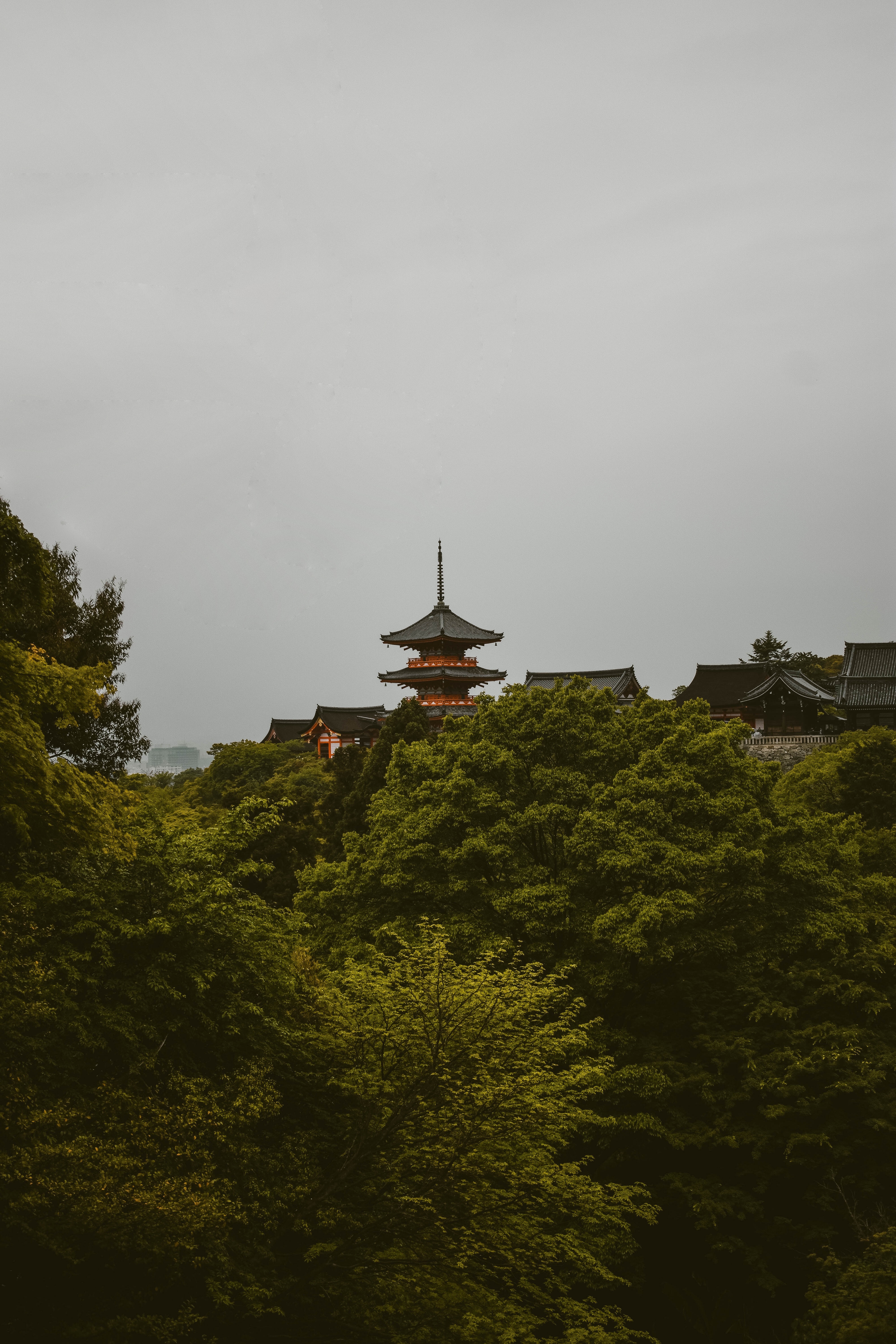 123559 Bild herunterladen natur, bäume, architektur, pagode, japan, präfektur kyoto, ich bin ein pony - Hintergrundbilder und Bildschirmschoner kostenlos