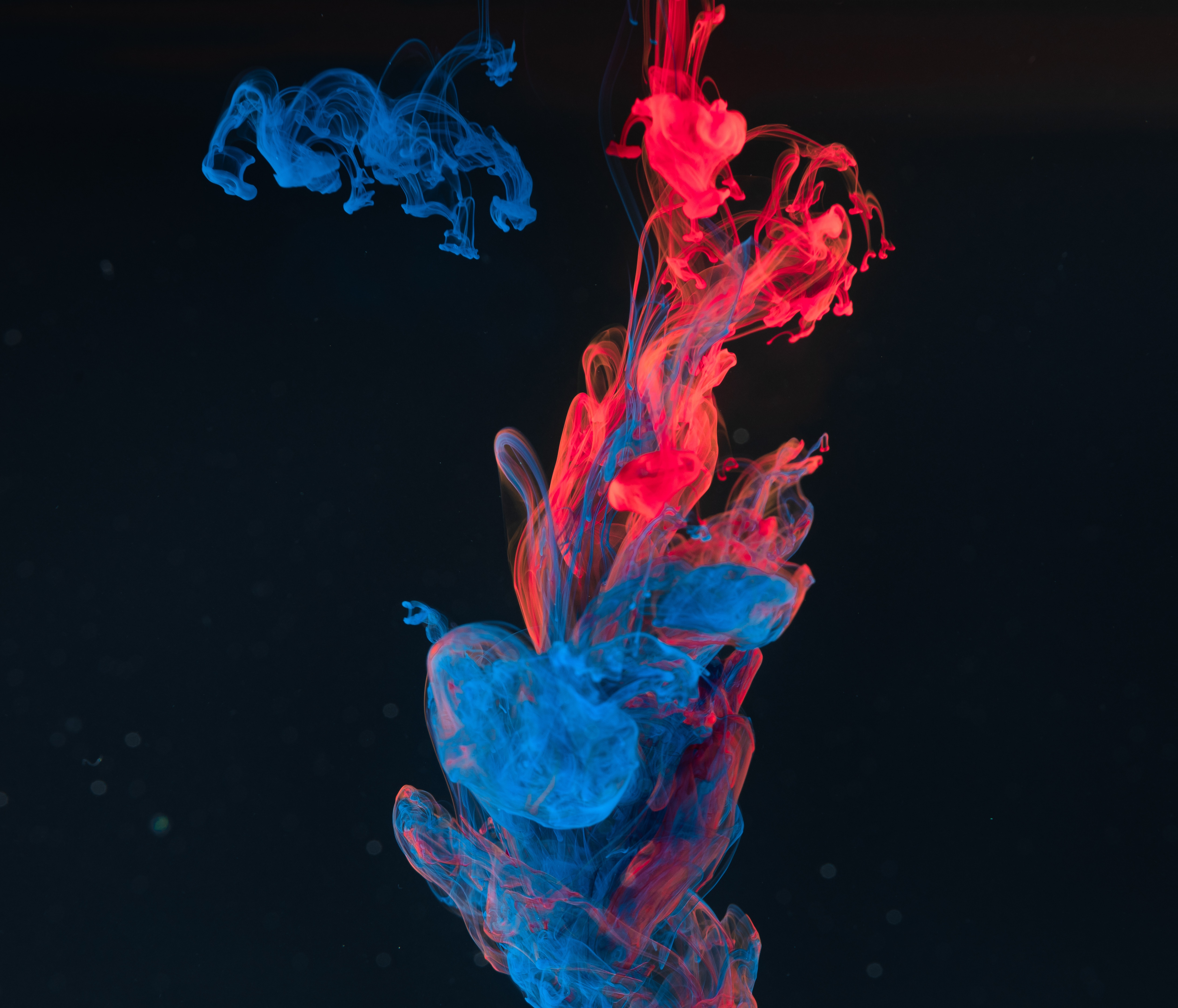 macro, paint, abstract, blue, red, liquid, clots 4K Ultra