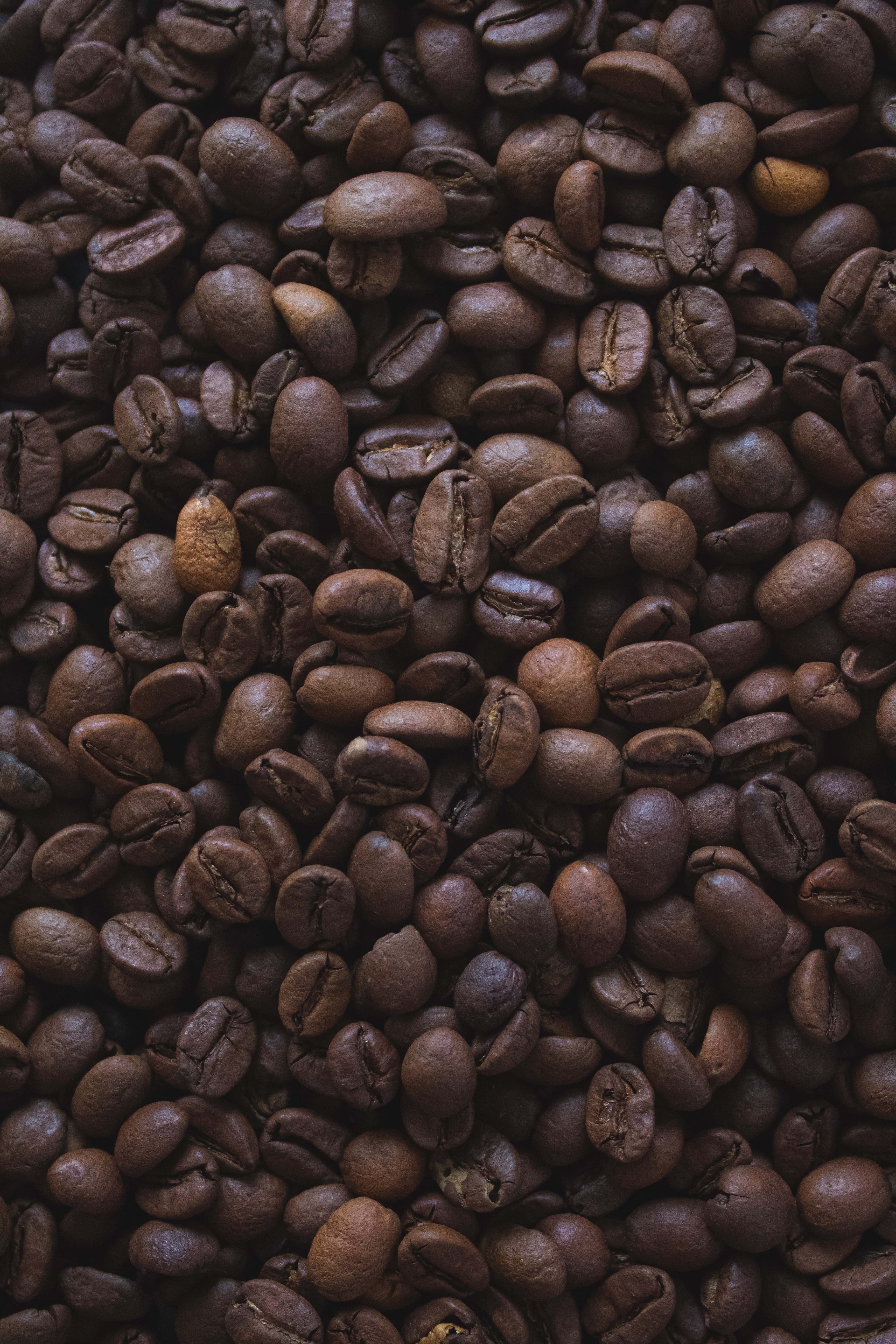 coffee beans, coffee, grain, macro, brown, grains HD wallpaper